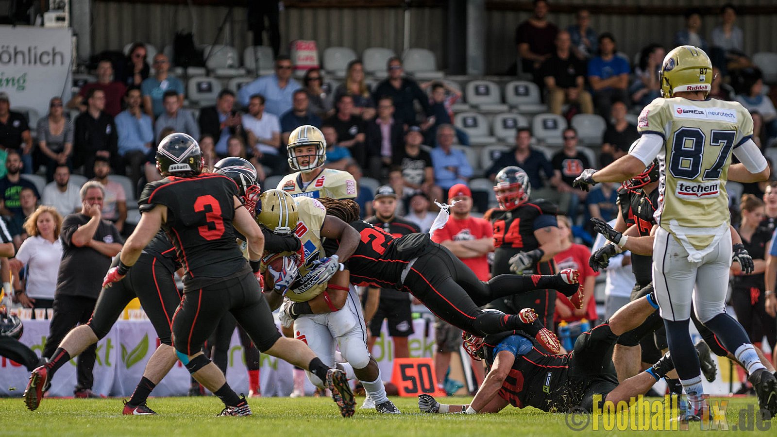 Düsseldorf Panther vs. Dresden Monarchs - 20.08.2016 GFL Nord: Düsseldorf Panther vs. Dresden Monarchs (16:69)