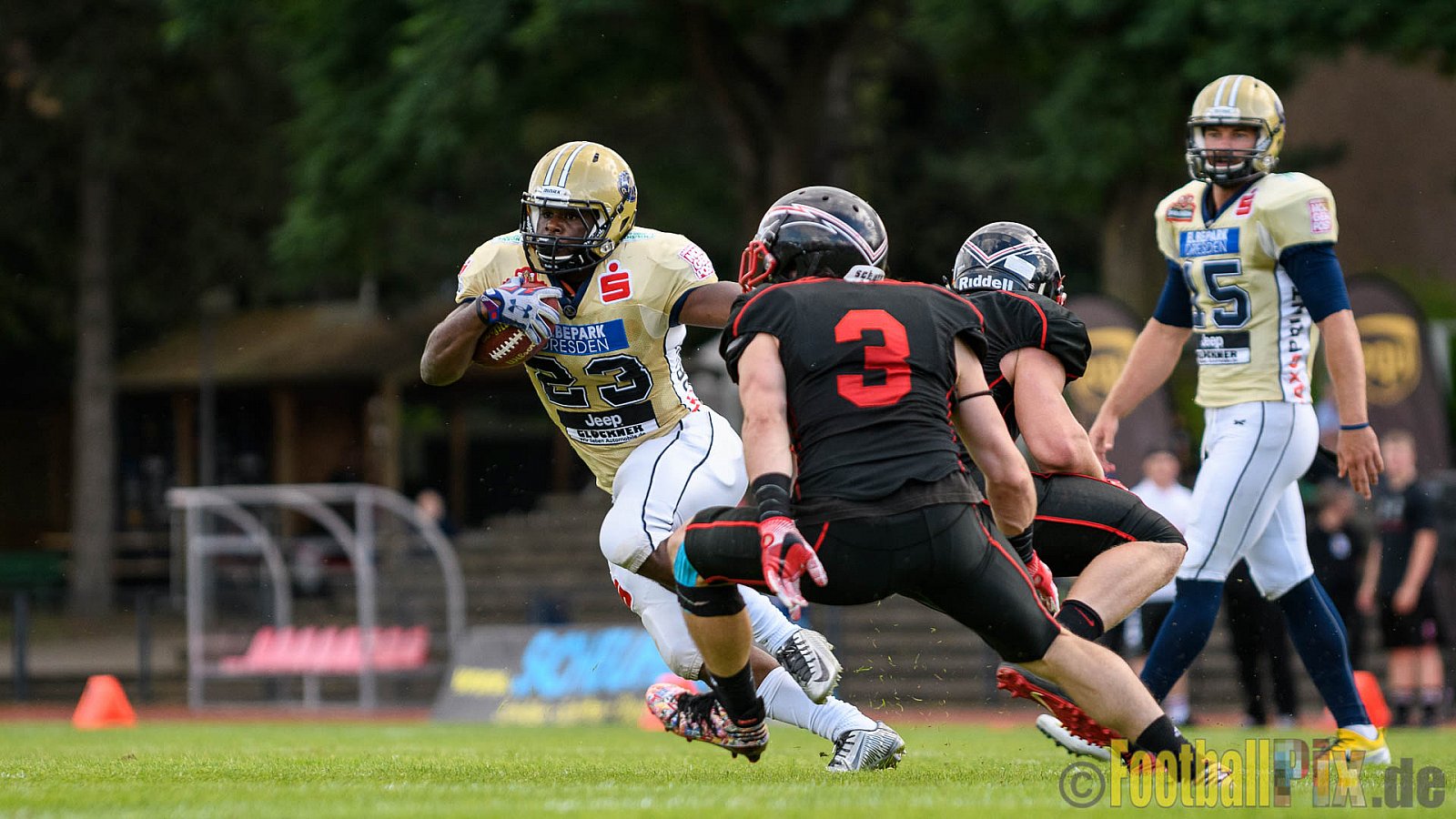 Düsseldorf Panther vs. Dresden Monarchs - 20.08.2016 GFL Nord: Düsseldorf Panther vs. Dresden Monarchs (16:69)