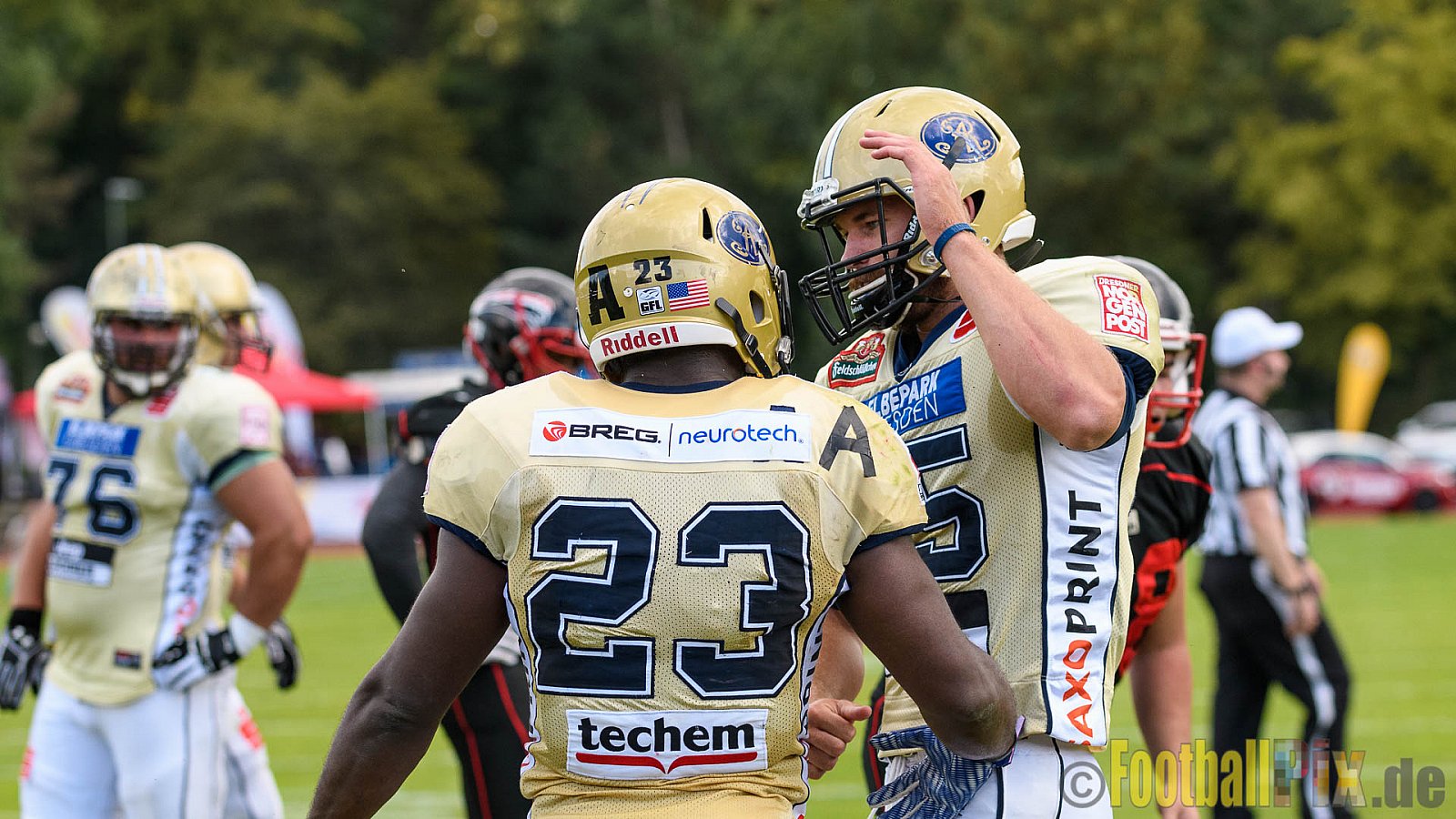 Düsseldorf Panther vs. Dresden Monarchs - 20.08.2016 GFL Nord: Düsseldorf Panther vs. Dresden Monarchs (16:69)