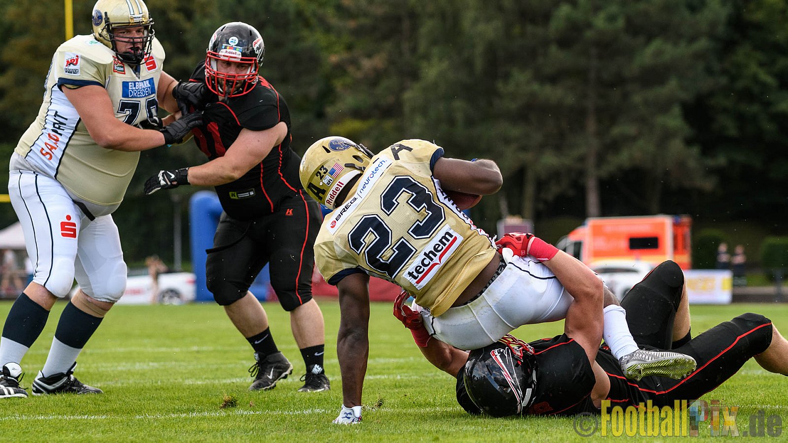 Düsseldorf Panther vs. Dresden Monarchs - 20.08.2016 GFL Nord: Düsseldorf Panther vs. Dresden Monarchs (16:69)