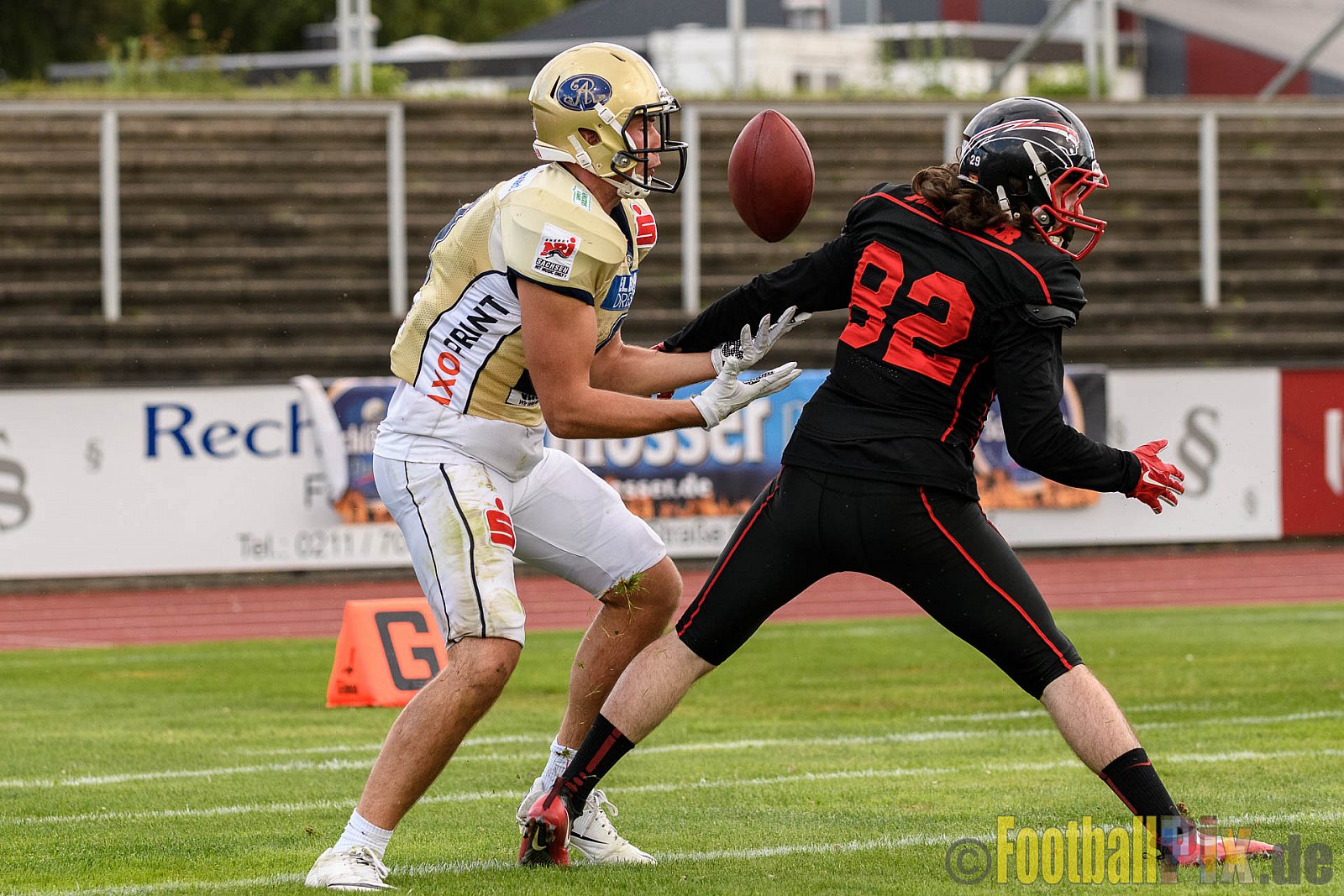 Düsseldorf Panther vs. Dresden Monarchs - 20.08.2016 GFL Nord: Düsseldorf Panther vs. Dresden Monarchs (16:69)