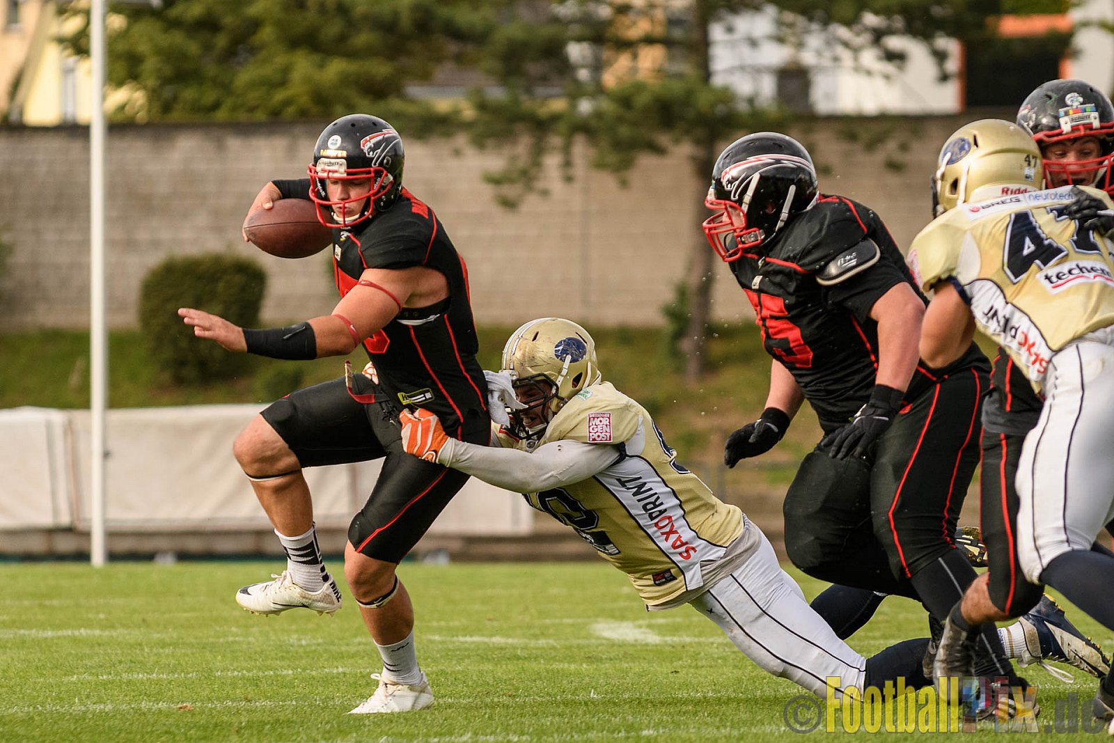 Düsseldorf Panther vs. Dresden Monarchs - 20.08.2016 GFL Nord: Düsseldorf Panther vs. Dresden Monarchs (16:69)