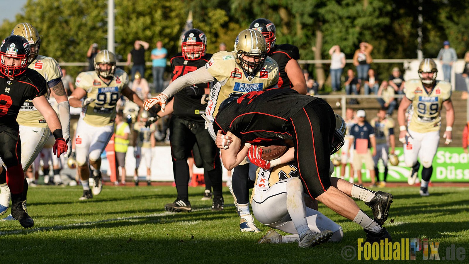 Düsseldorf Panther vs. Dresden Monarchs - 20.08.2016 GFL Nord: Düsseldorf Panther vs. Dresden Monarchs (16:69)