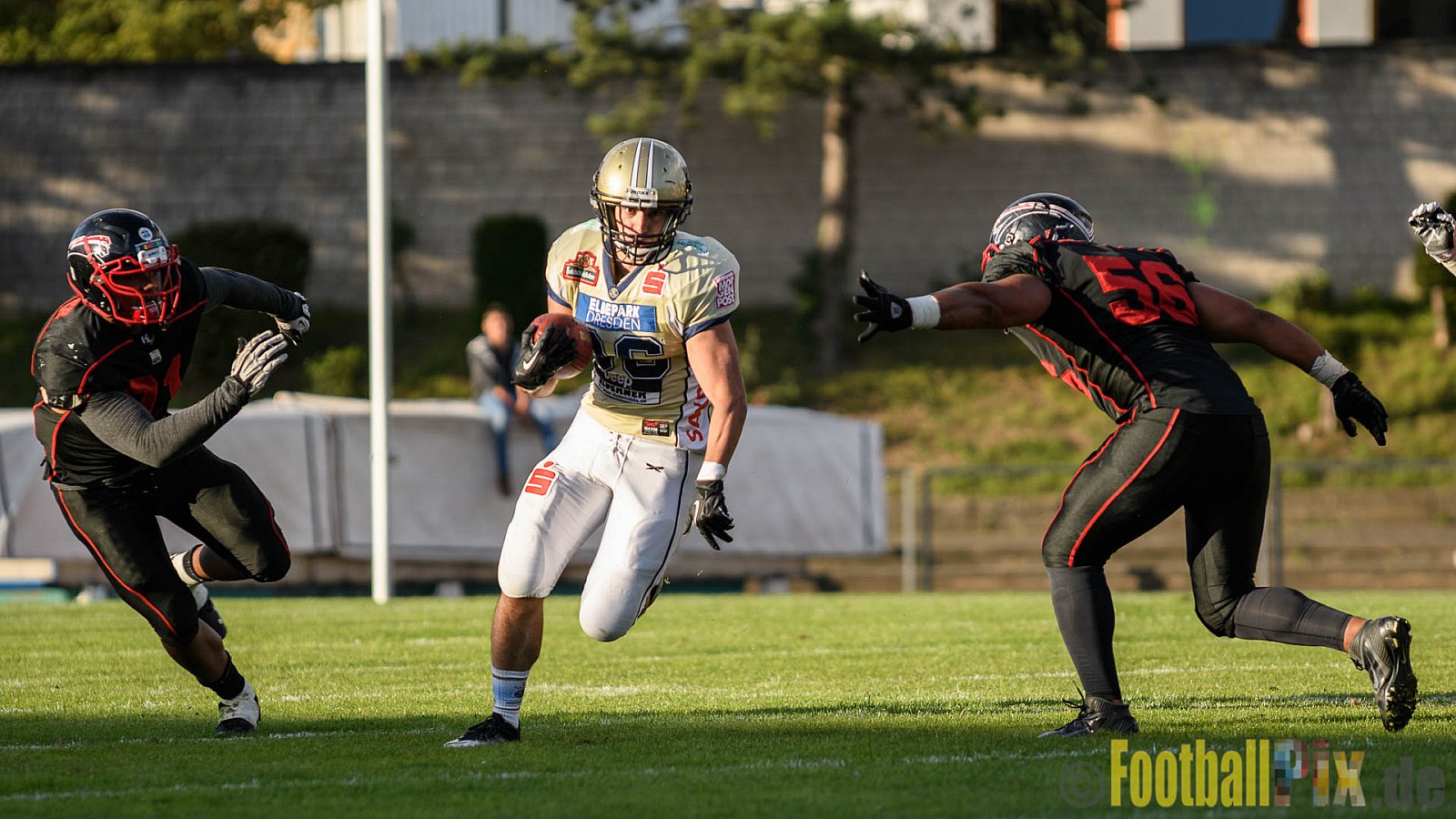Düsseldorf Panther vs. Dresden Monarchs - 20.08.2016 GFL Nord: Düsseldorf Panther vs. Dresden Monarchs (16:69)