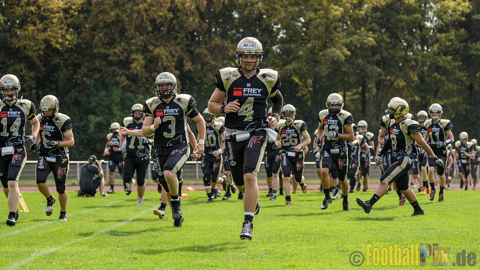 Cologne Crocodiles vs. Paderborn Dolphins - 28.08.2016 GFL2: Cologne Crocodiles vs. Paderborn Dolphins (56:16)