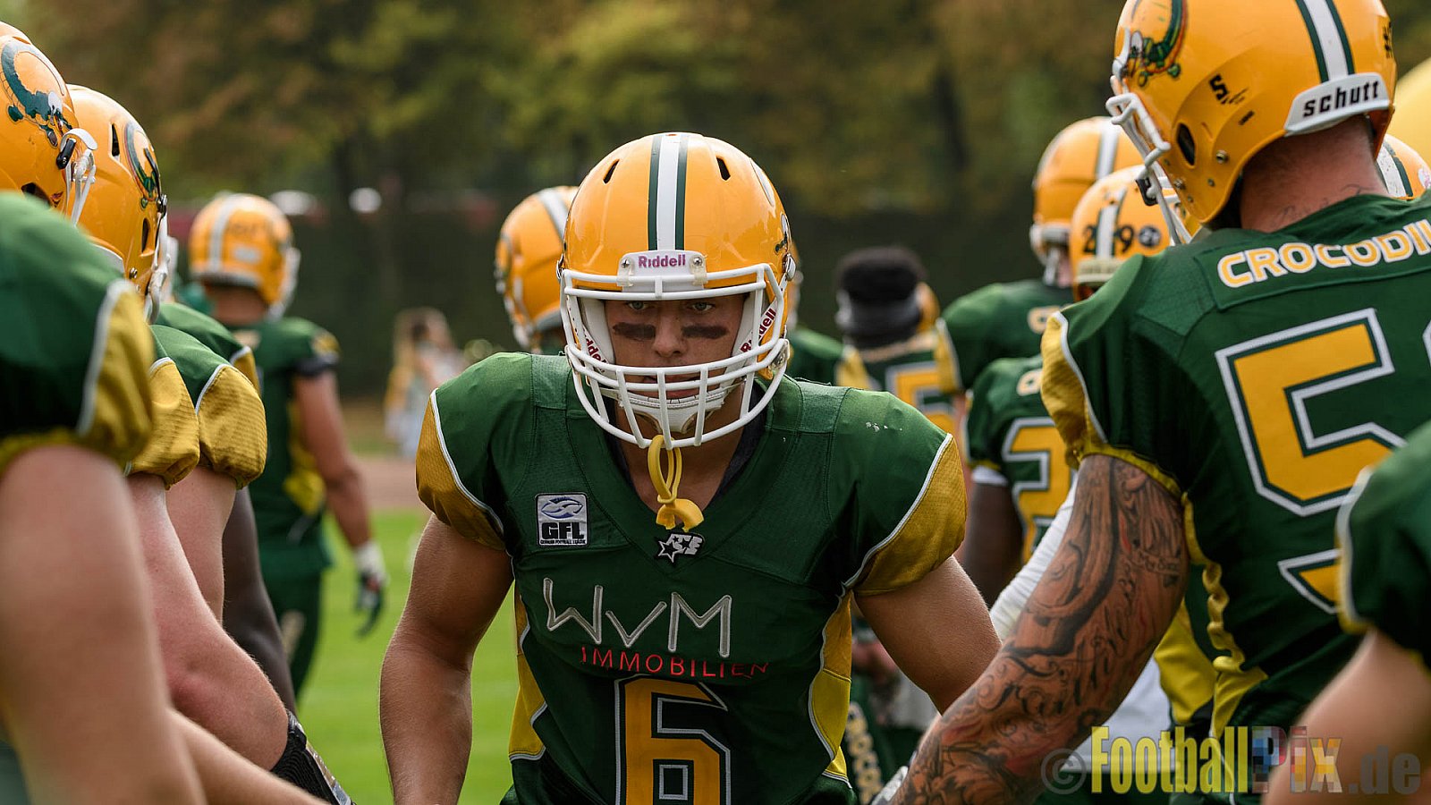 Cologne Crocodiles vs. Paderborn Dolphins - 28.08.2016 GFL2: Cologne Crocodiles vs. Paderborn Dolphins (56:16)