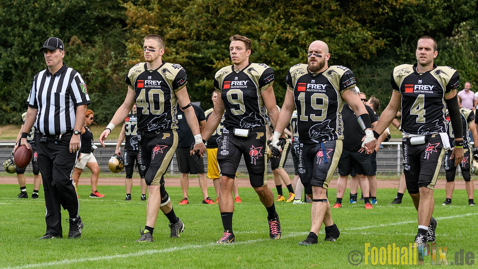 Cologne Crocodiles vs. Paderborn Dolphins - 28.08.2016 GFL2: Cologne Crocodiles vs. Paderborn Dolphins (56:16)