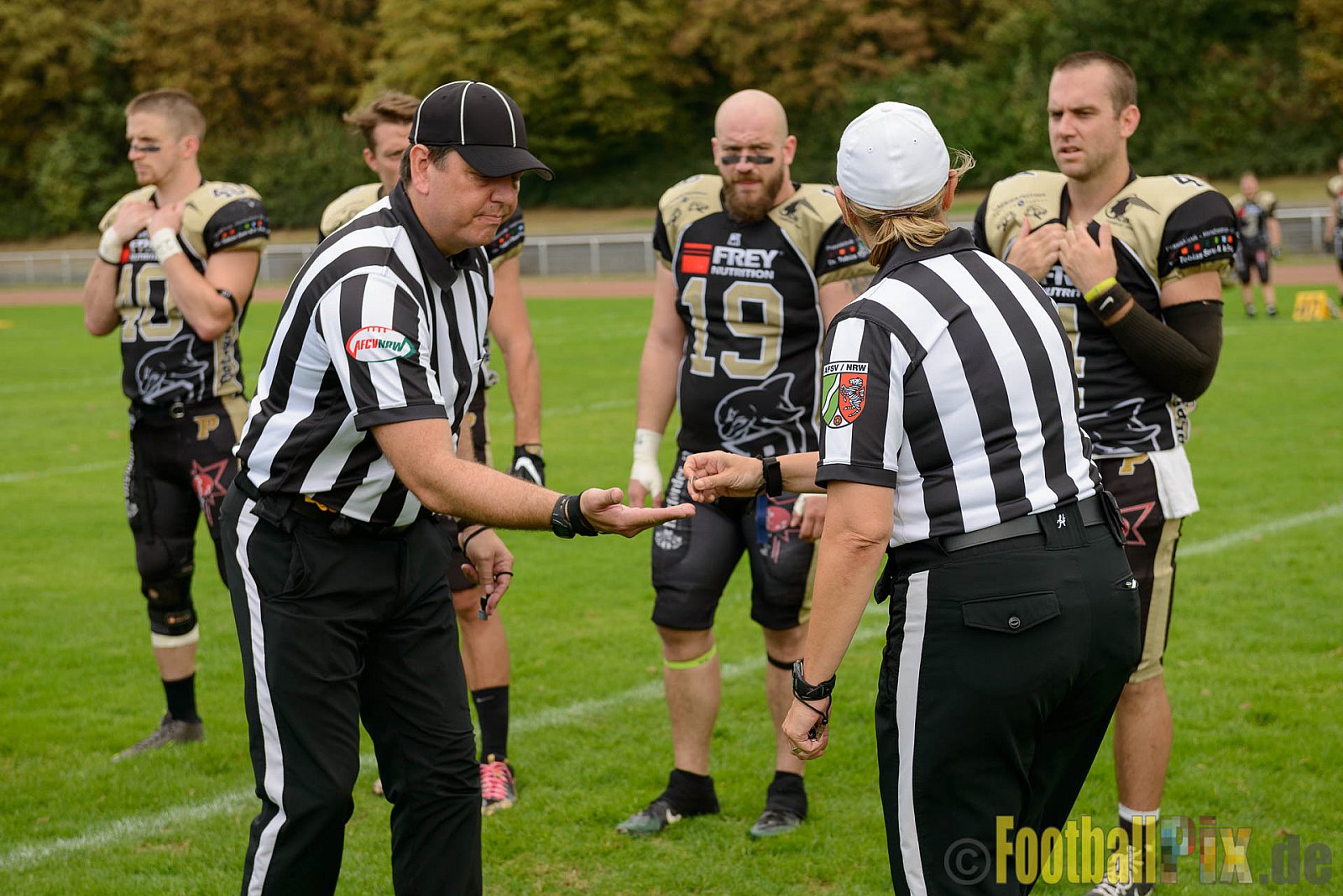 Cologne Crocodiles vs. Paderborn Dolphins - 28.08.2016 GFL2: Cologne Crocodiles vs. Paderborn Dolphins (56:16)