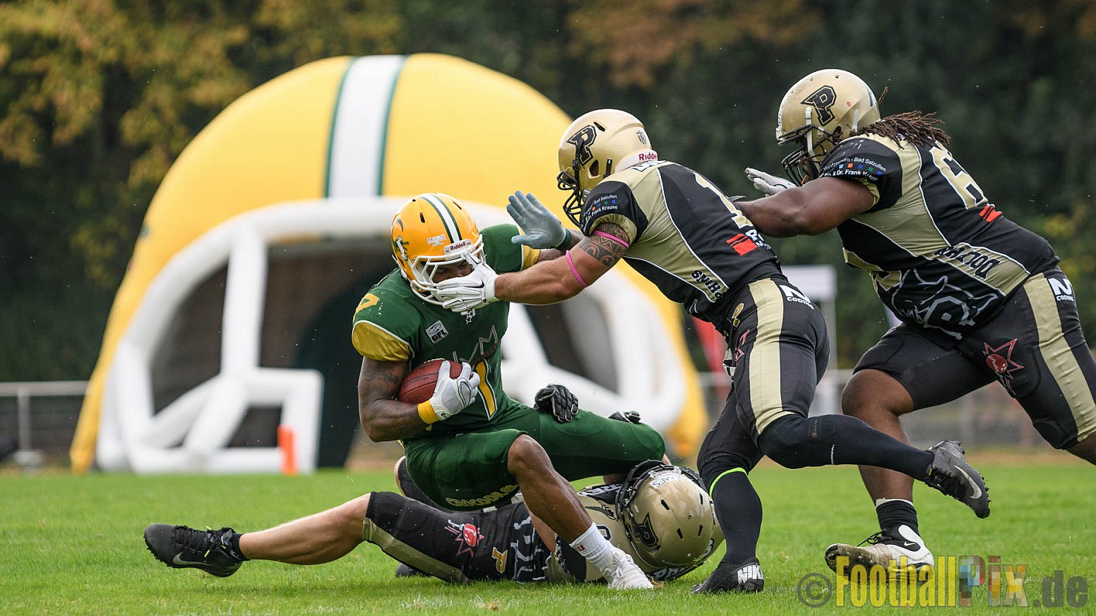 Cologne Crocodiles vs. Paderborn Dolphins - 28.08.2016 GFL2: Cologne Crocodiles vs. Paderborn Dolphins (56:16)