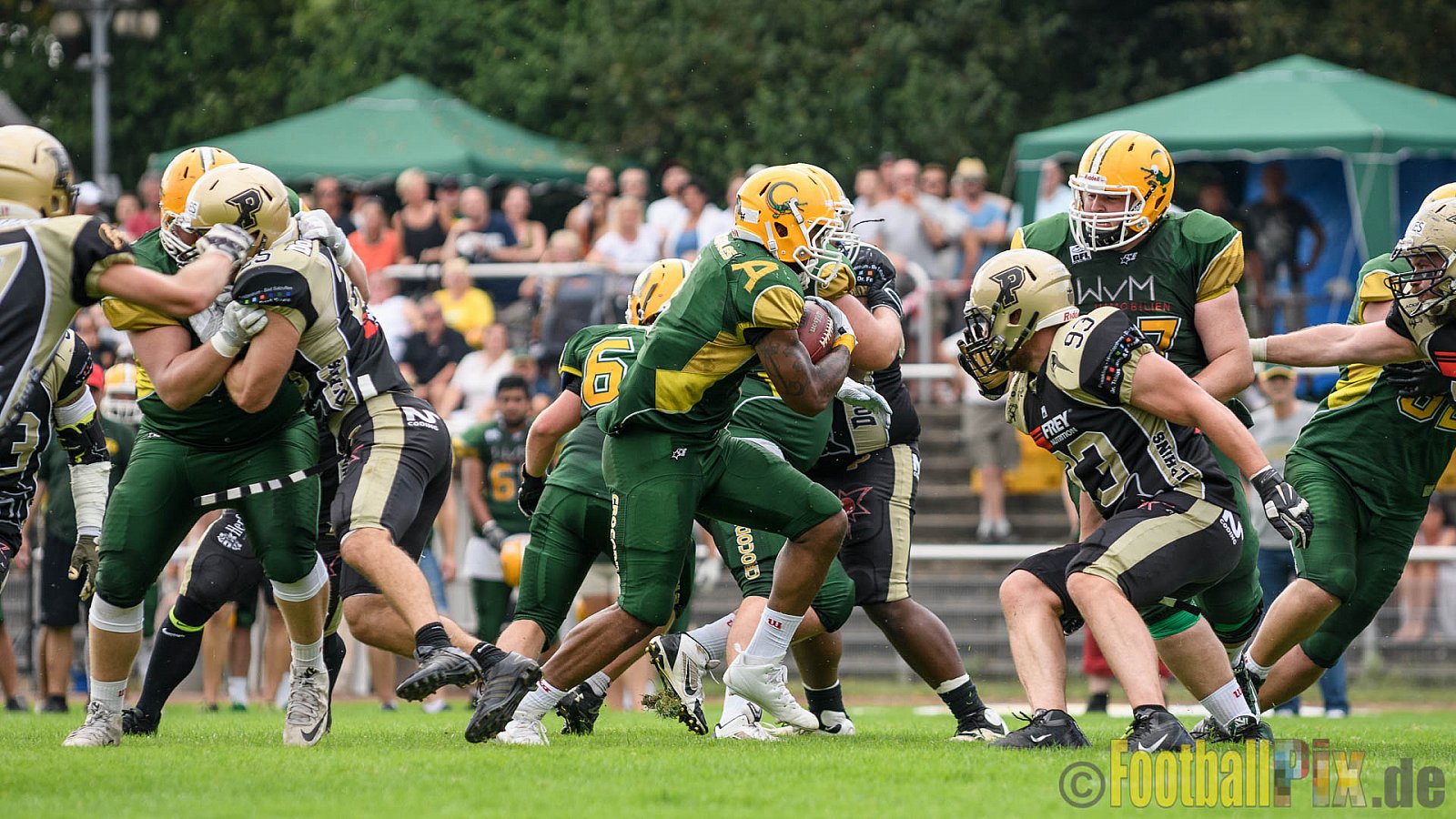Cologne Crocodiles vs. Paderborn Dolphins - 28.08.2016 GFL2: Cologne Crocodiles vs. Paderborn Dolphins (56:16)