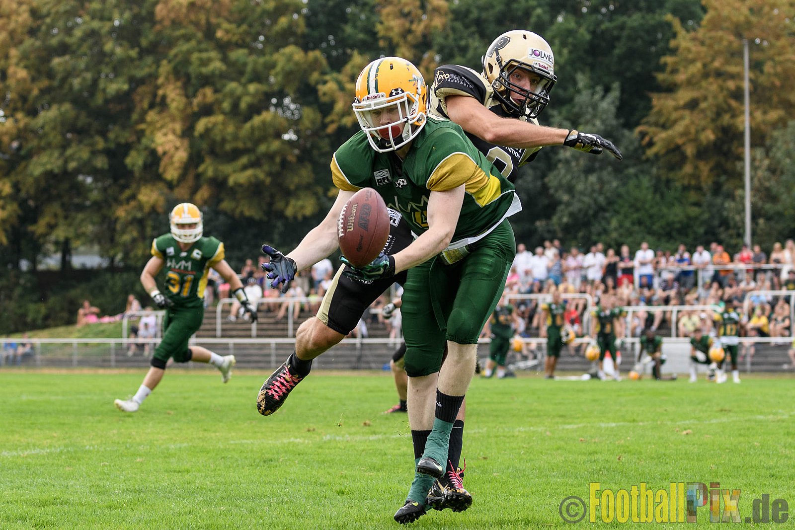 Cologne Crocodiles vs. Paderborn Dolphins - 28.08.2016 GFL2: Cologne Crocodiles vs. Paderborn Dolphins (56:16)