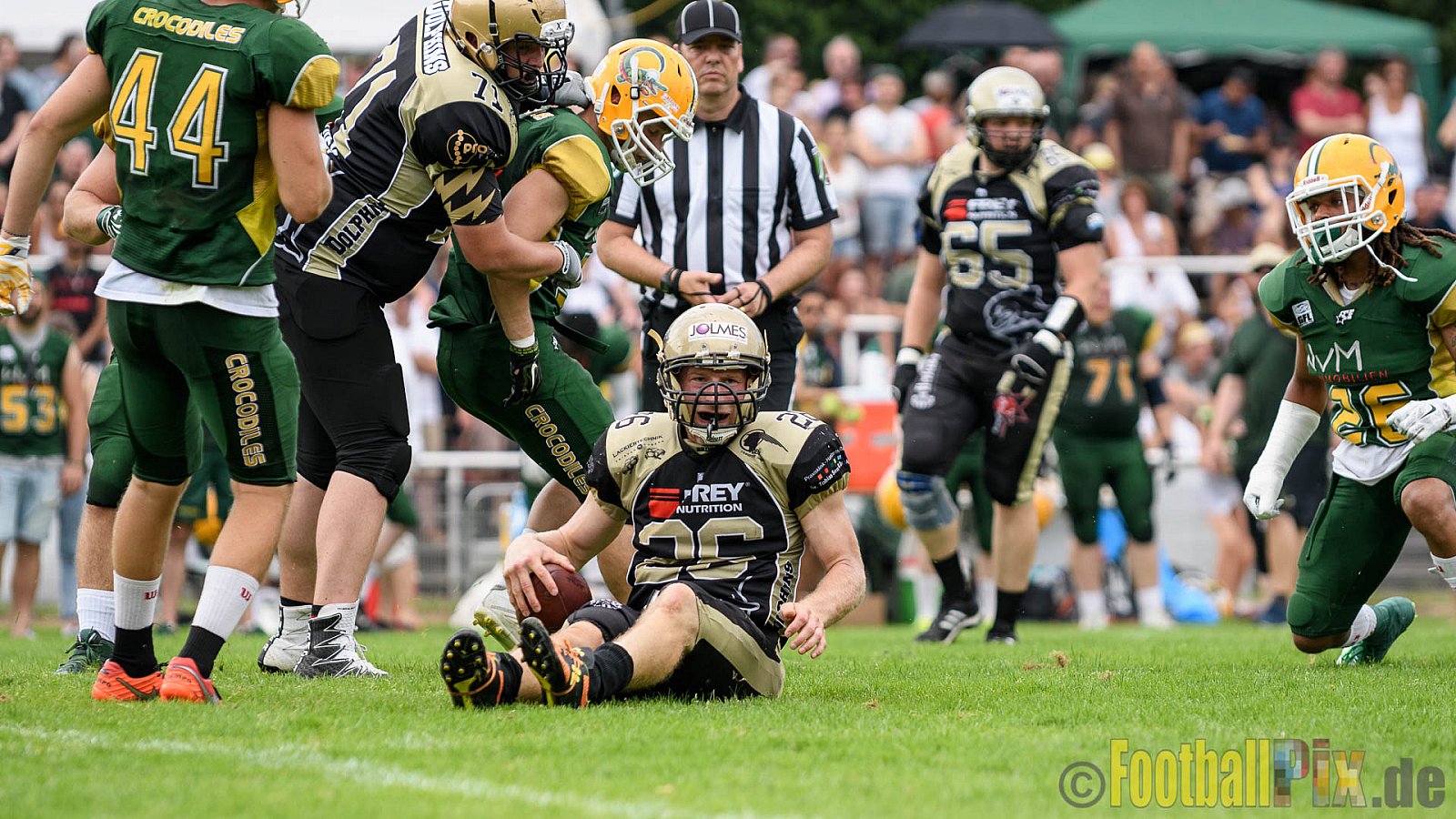 Cologne Crocodiles vs. Paderborn Dolphins - 28.08.2016 GFL2: Cologne Crocodiles vs. Paderborn Dolphins (56:16)