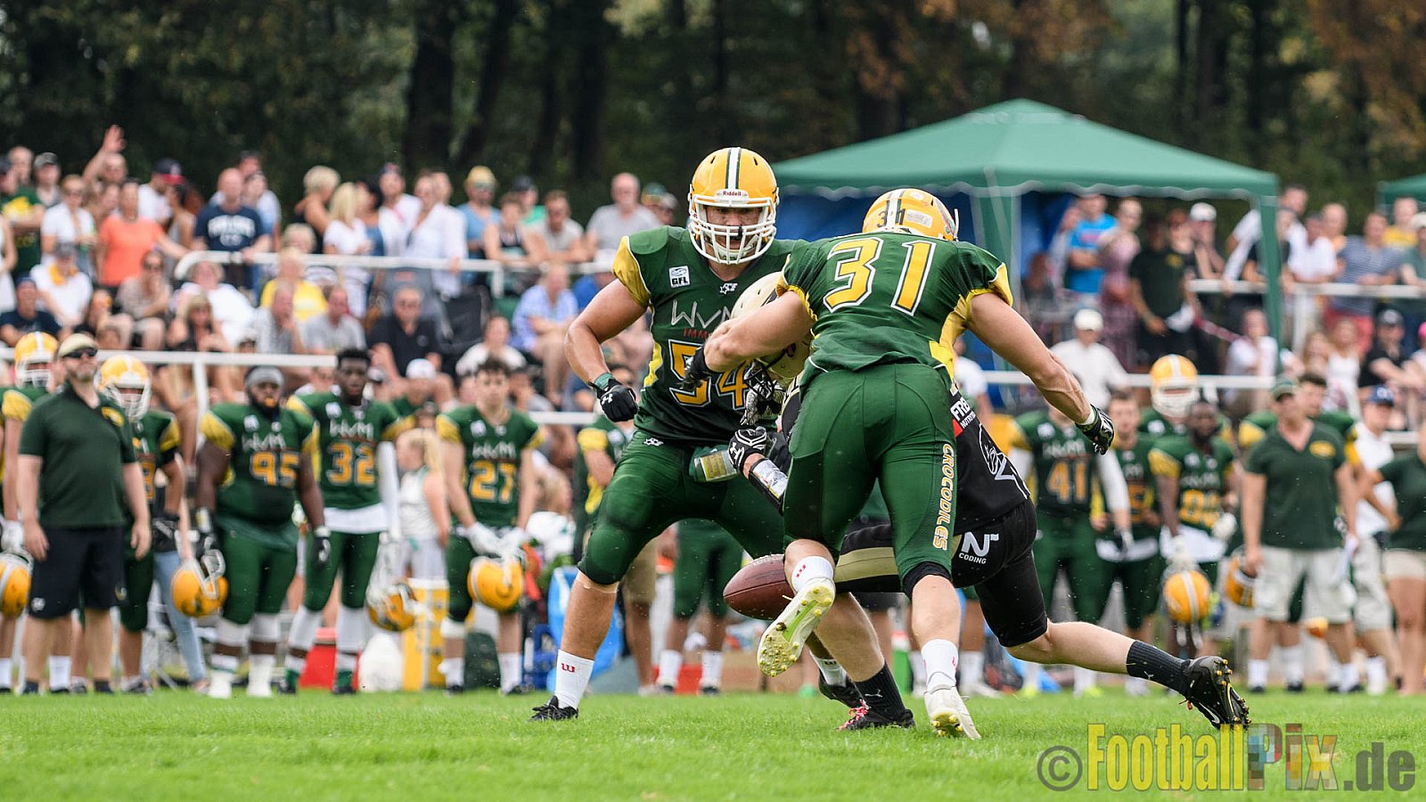 Cologne Crocodiles vs. Paderborn Dolphins - 28.08.2016 GFL2: Cologne Crocodiles vs. Paderborn Dolphins (56:16)