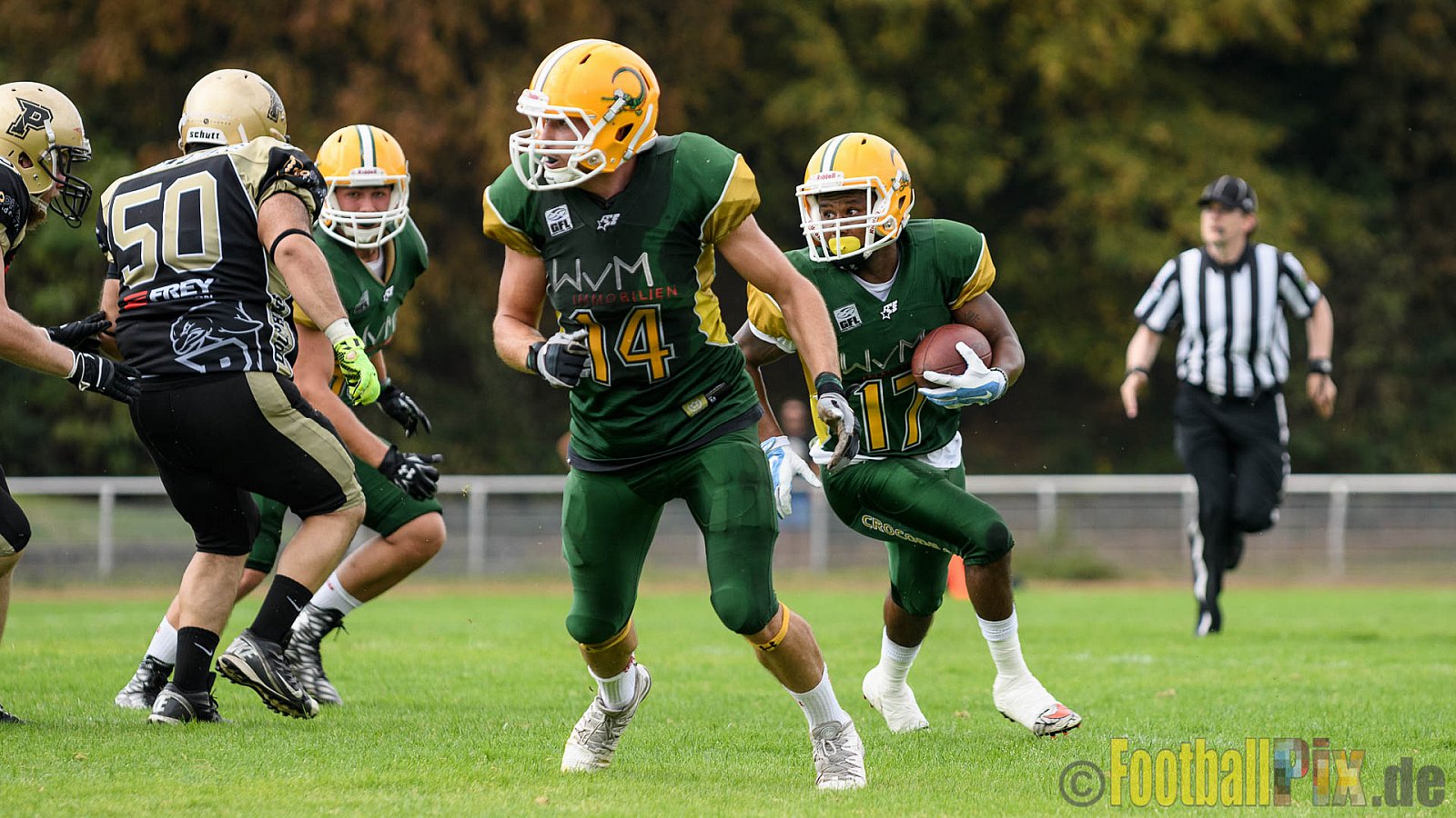 Cologne Crocodiles vs. Paderborn Dolphins - 28.08.2016 GFL2: Cologne Crocodiles vs. Paderborn Dolphins (56:16)