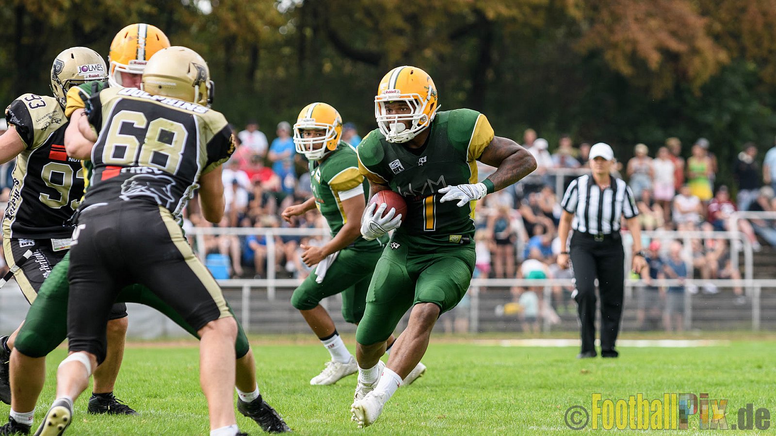 Cologne Crocodiles vs. Paderborn Dolphins - 28.08.2016 GFL2: Cologne Crocodiles vs. Paderborn Dolphins (56:16)