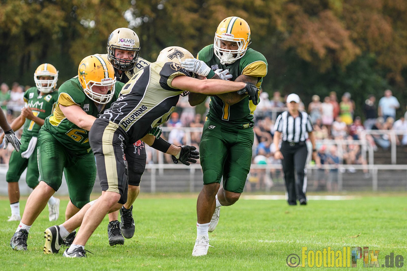 Cologne Crocodiles vs. Paderborn Dolphins - 28.08.2016 GFL2: Cologne Crocodiles vs. Paderborn Dolphins (56:16)