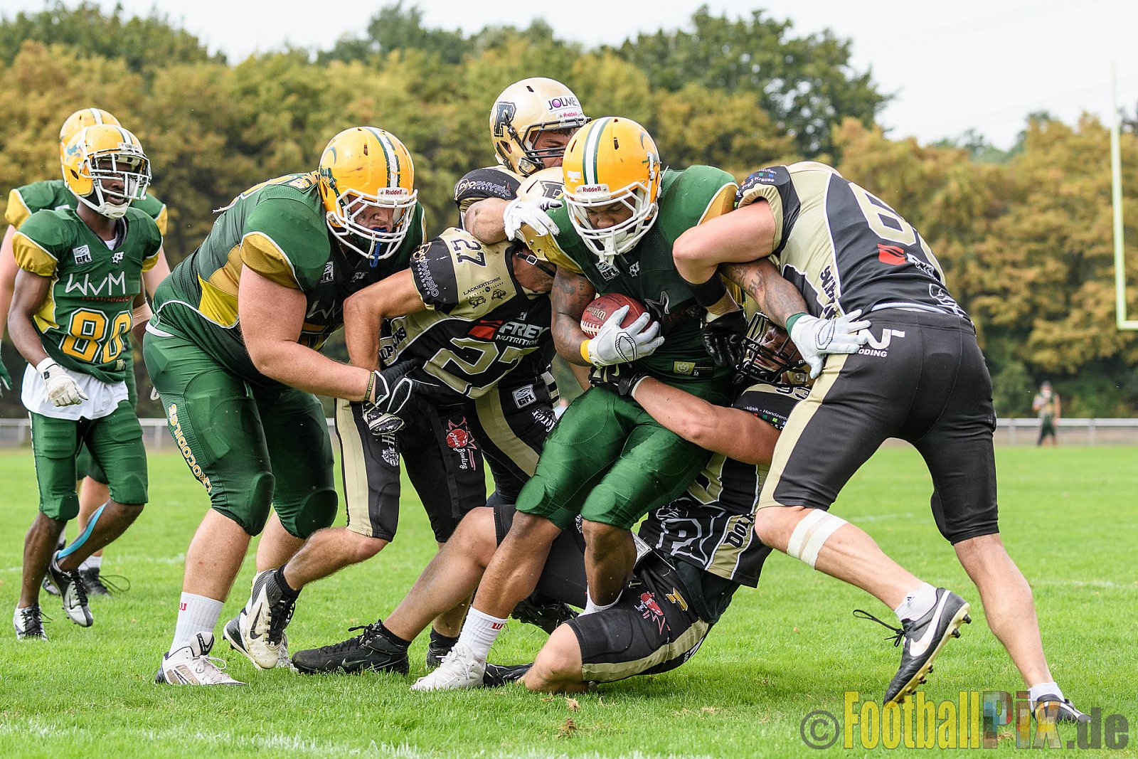 Cologne Crocodiles vs. Paderborn Dolphins - 28.08.2016 GFL2: Cologne Crocodiles vs. Paderborn Dolphins (56:16)