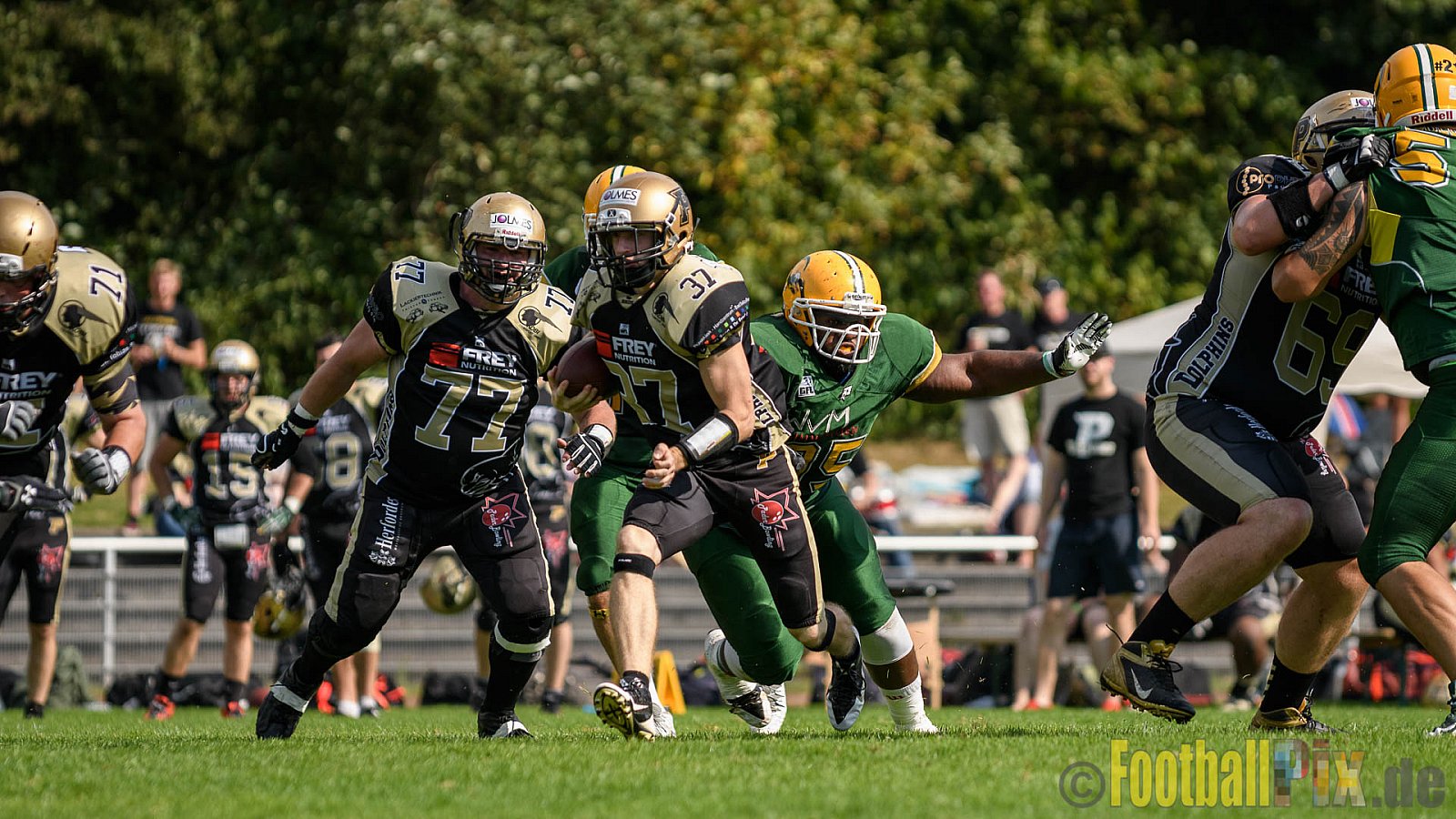 Cologne Crocodiles vs. Paderborn Dolphins - 28.08.2016 GFL2: Cologne Crocodiles vs. Paderborn Dolphins (56:16)