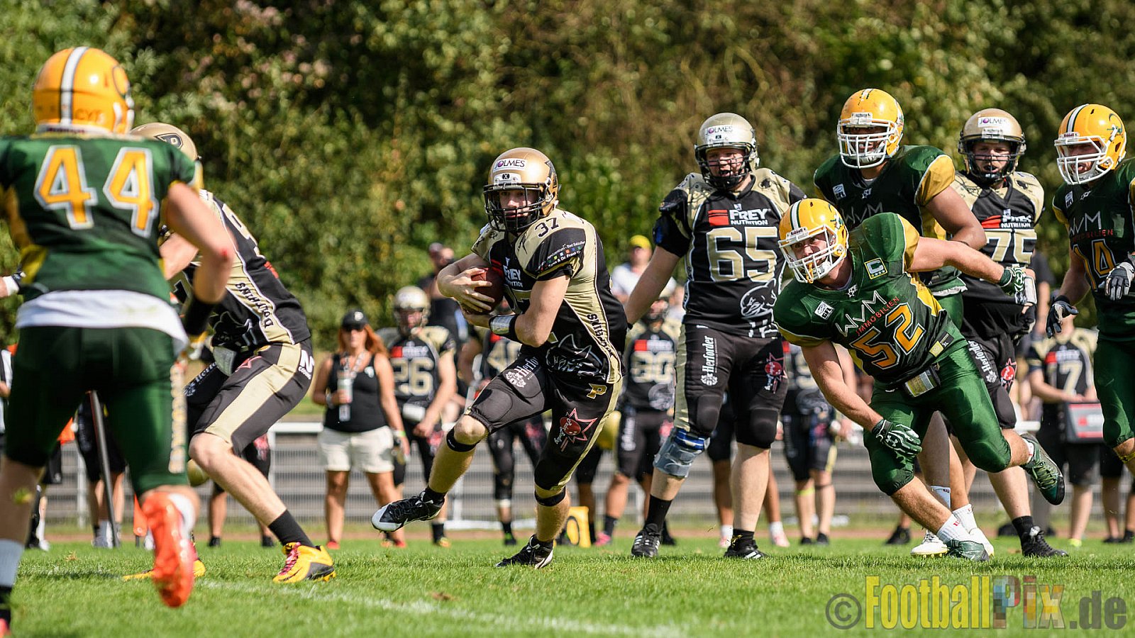 Cologne Crocodiles vs. Paderborn Dolphins - 28.08.2016 GFL2: Cologne Crocodiles vs. Paderborn Dolphins (56:16)