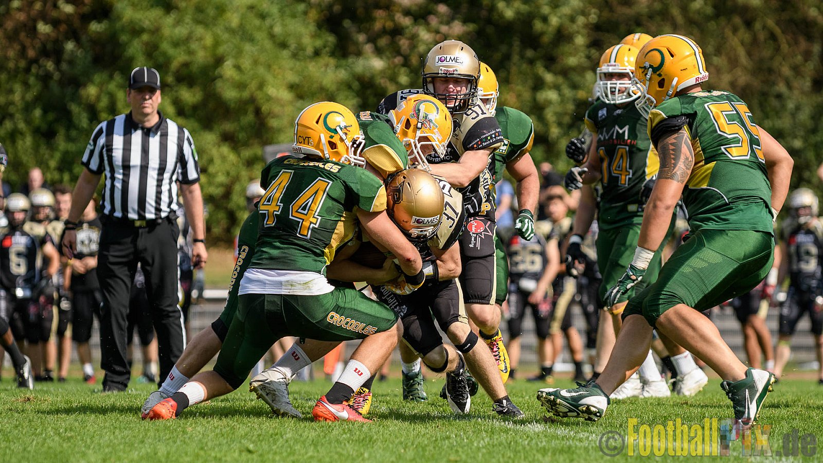 Cologne Crocodiles vs. Paderborn Dolphins - 28.08.2016 GFL2: Cologne Crocodiles vs. Paderborn Dolphins (56:16)