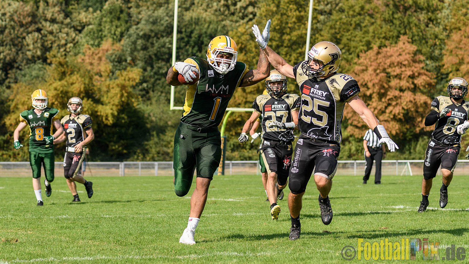 Cologne Crocodiles vs. Paderborn Dolphins - 28.08.2016 GFL2: Cologne Crocodiles vs. Paderborn Dolphins (56:16)
