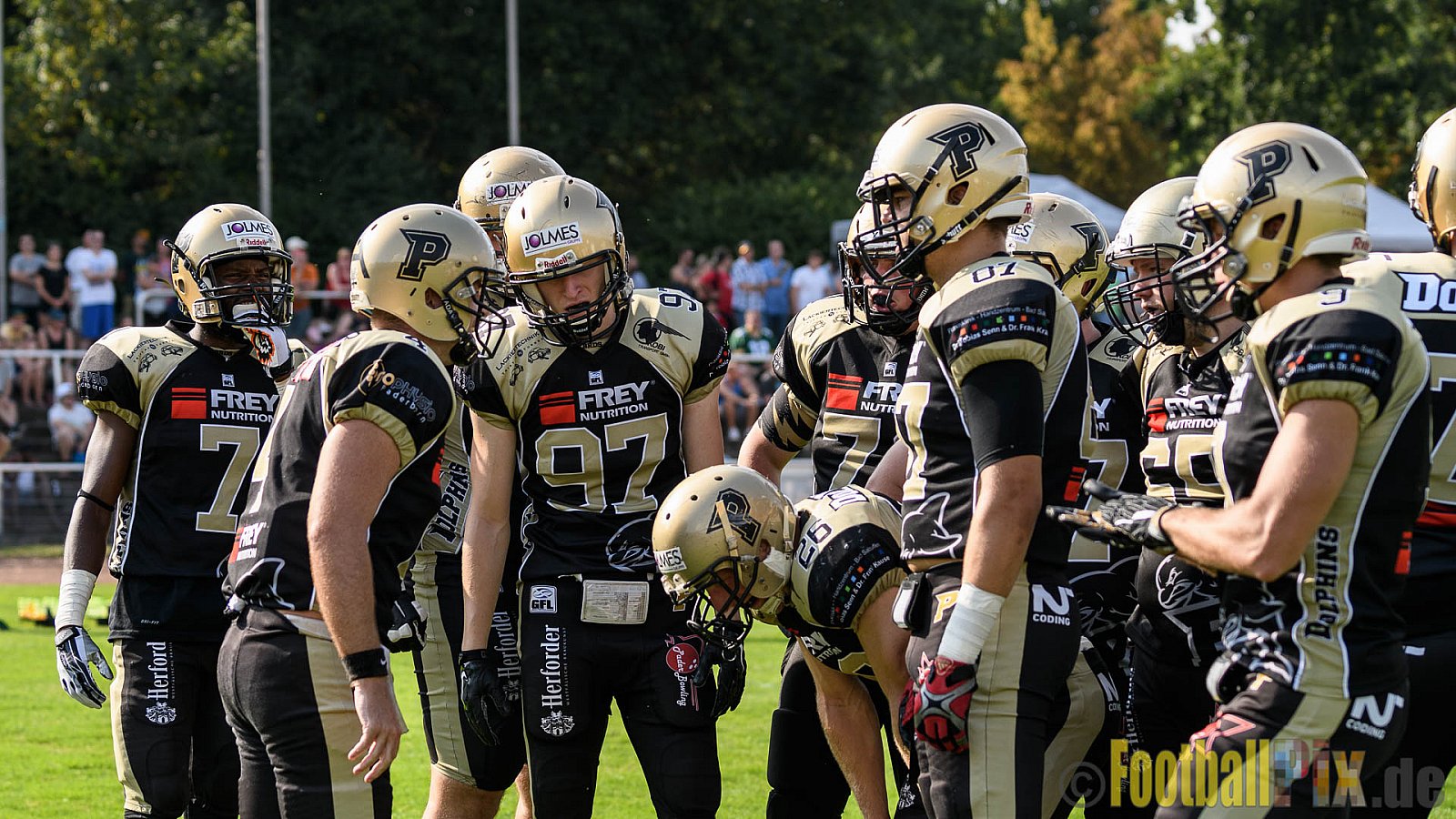 Cologne Crocodiles vs. Paderborn Dolphins - 28.08.2016 GFL2: Cologne Crocodiles vs. Paderborn Dolphins (56:16)