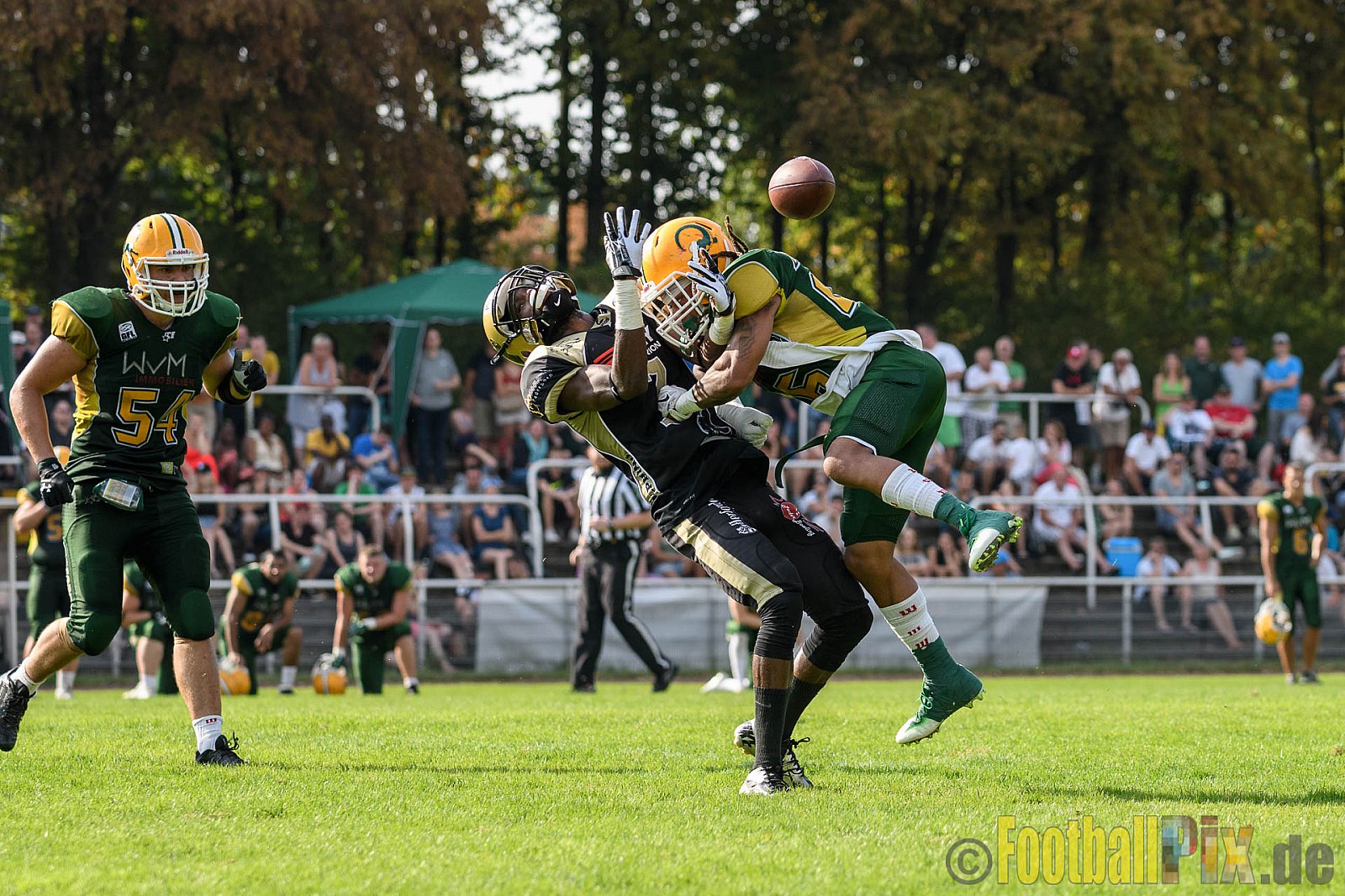 Cologne Crocodiles vs. Paderborn Dolphins - 28.08.2016 GFL2: Cologne Crocodiles vs. Paderborn Dolphins (56:16)