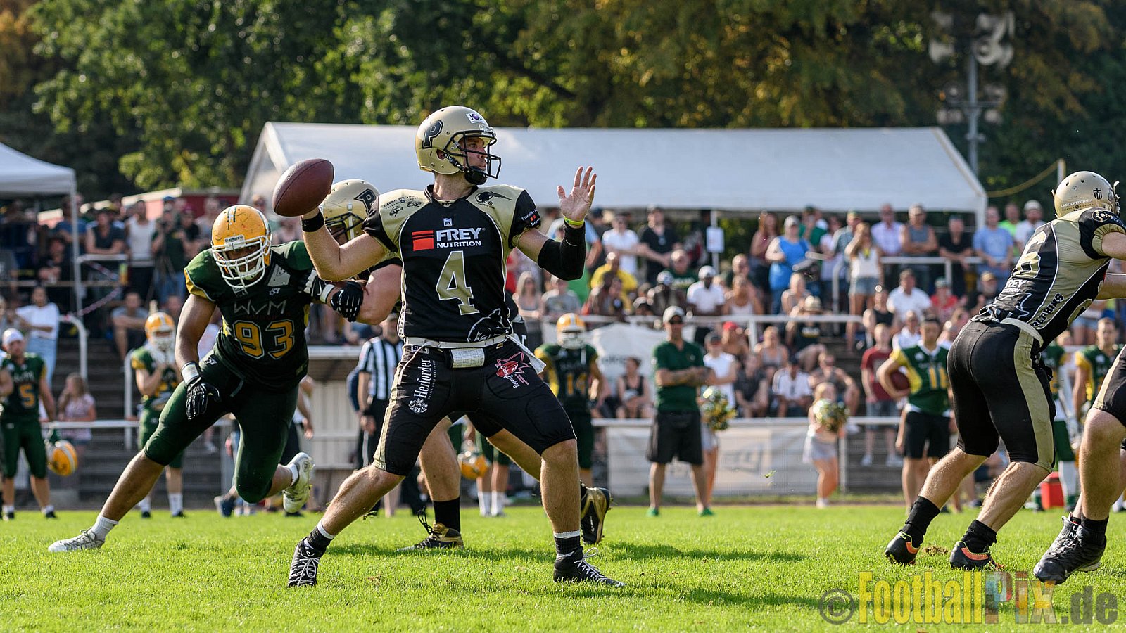 Cologne Crocodiles vs. Paderborn Dolphins - 28.08.2016 GFL2: Cologne Crocodiles vs. Paderborn Dolphins (56:16)