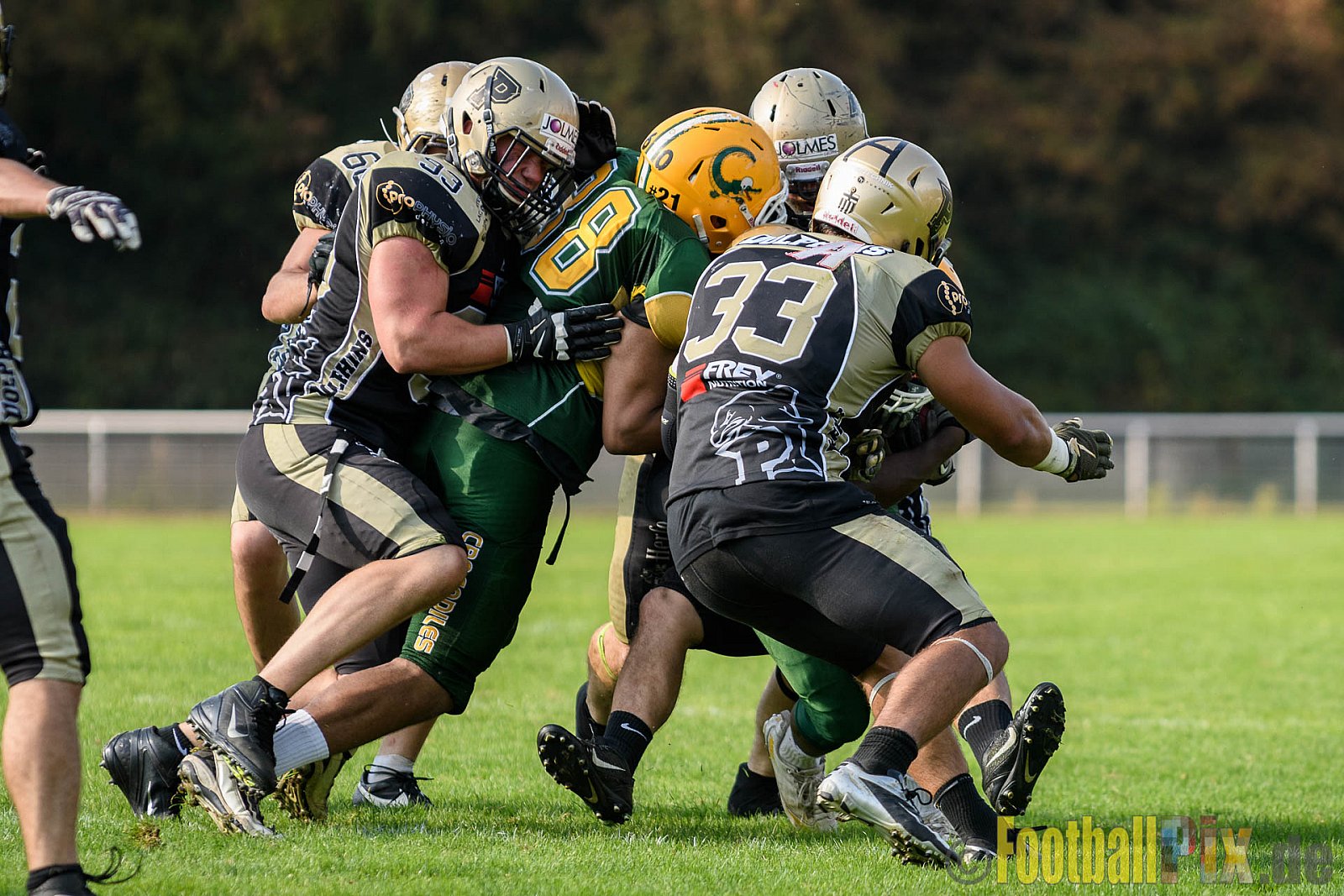 Cologne Crocodiles vs. Paderborn Dolphins - 28.08.2016 GFL2: Cologne Crocodiles vs. Paderborn Dolphins (56:16)