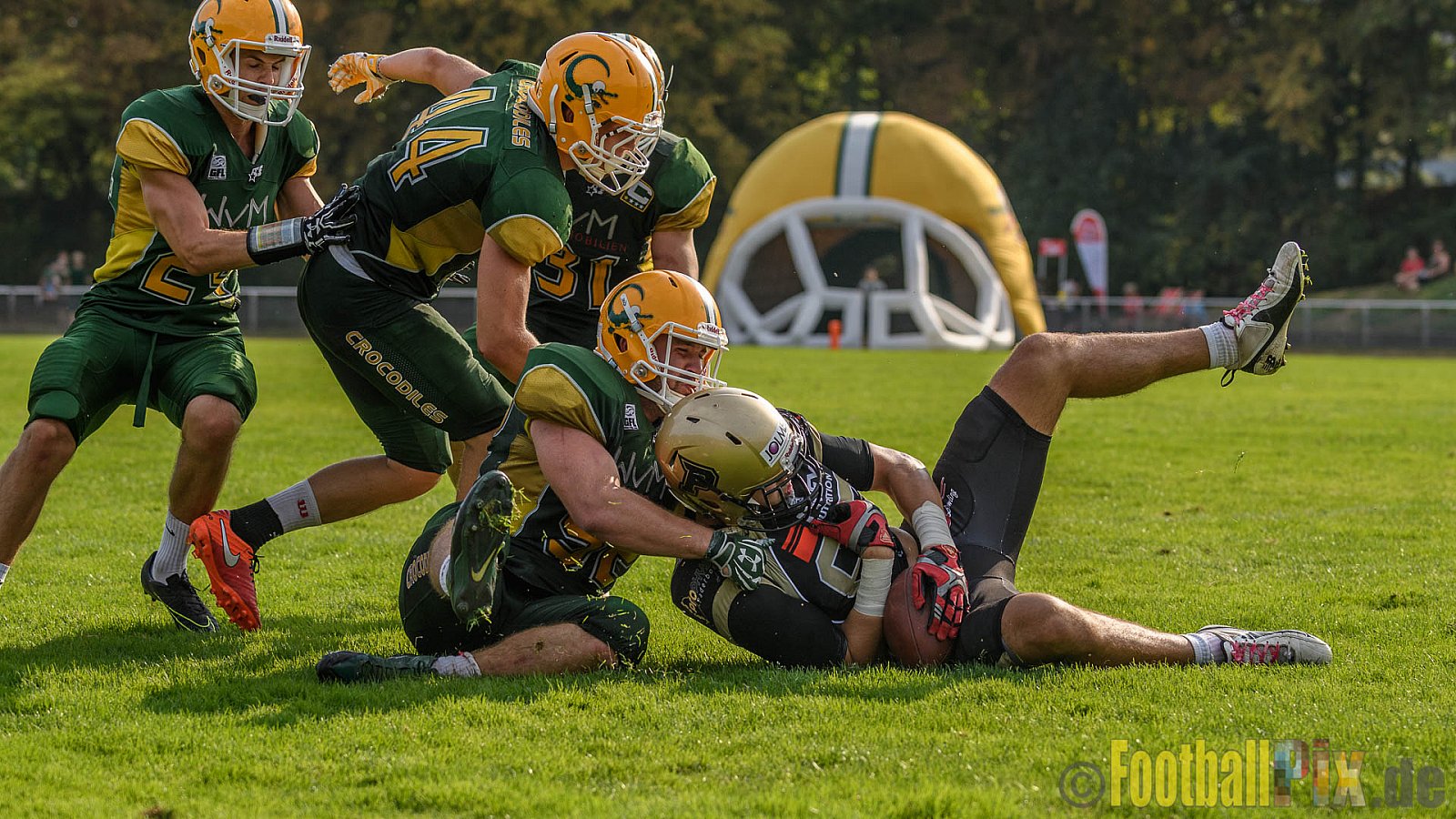 Cologne Crocodiles vs. Paderborn Dolphins - 28.08.2016 GFL2: Cologne Crocodiles vs. Paderborn Dolphins (56:16)