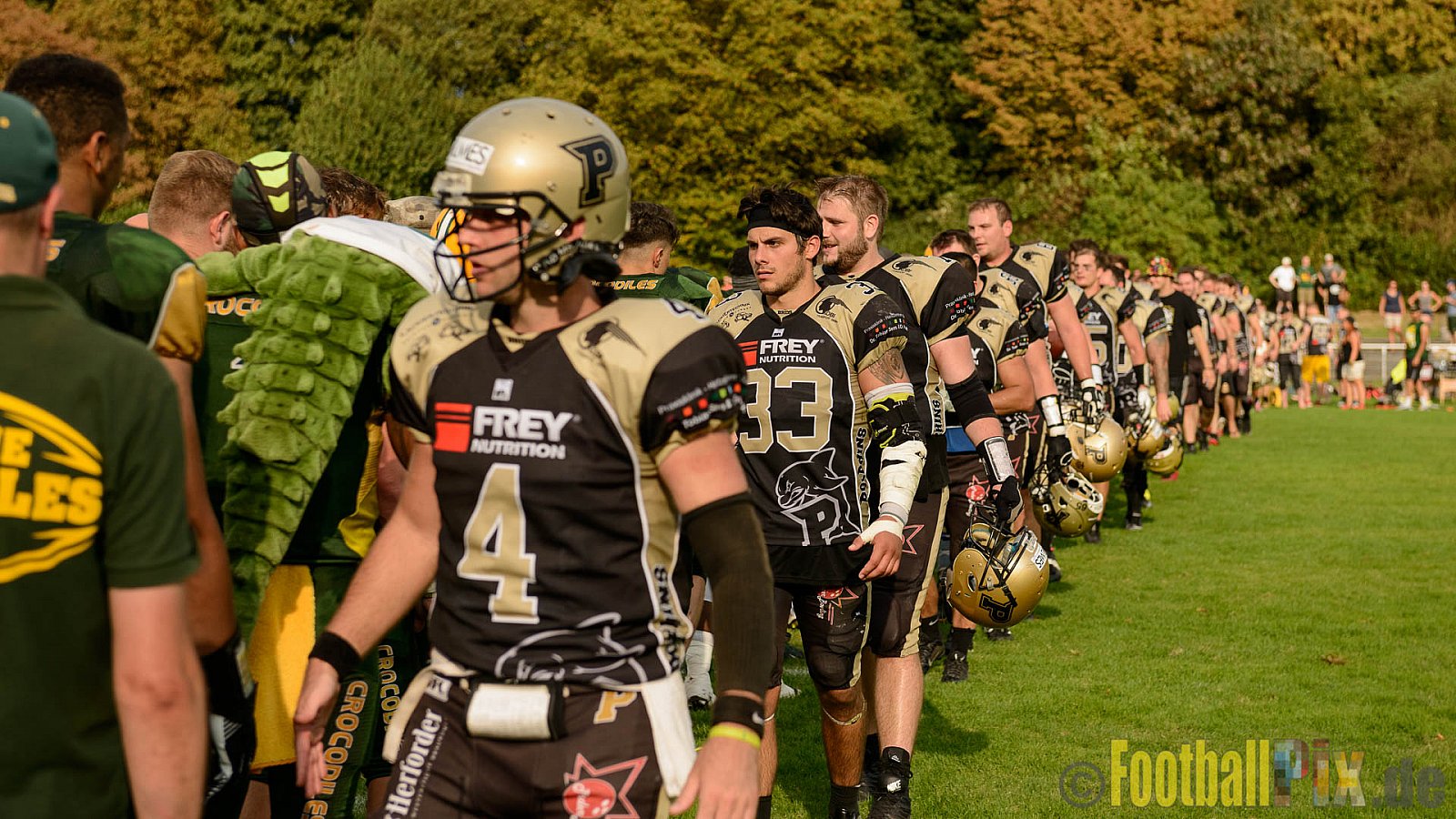 Cologne Crocodiles vs. Paderborn Dolphins - 28.08.2016 GFL2: Cologne Crocodiles vs. Paderborn Dolphins (56:16)