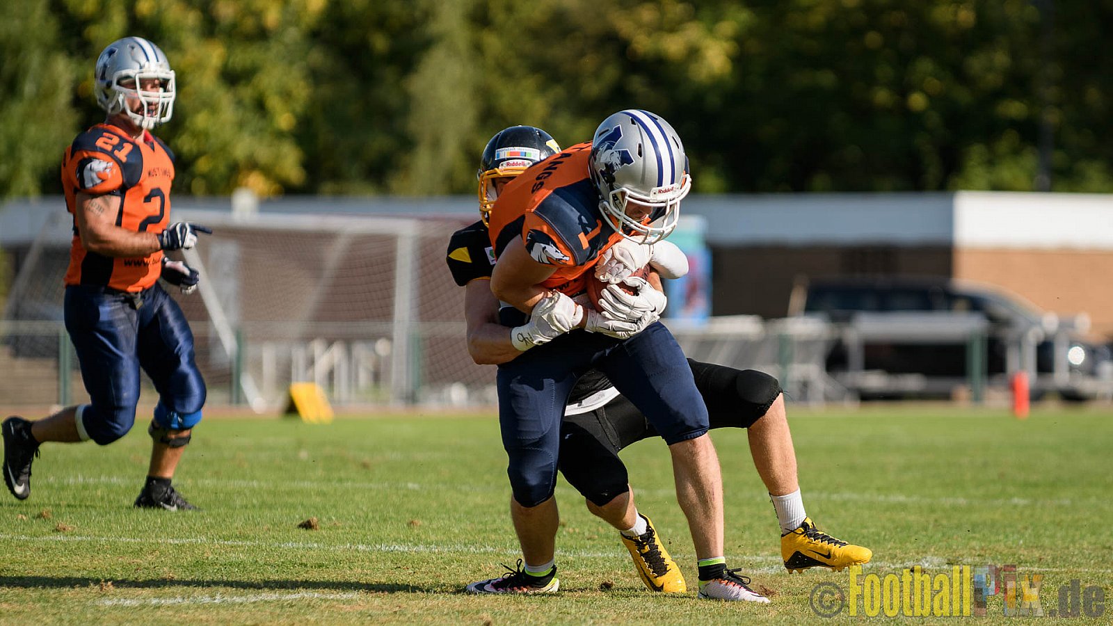 Düsseldorf Bulldozer vs. Sauerland Mustangs - 10.09.2016 LL Nord NRW: Düsseldorf Bulldozer vs. Sauerland Mustangs (14:27)