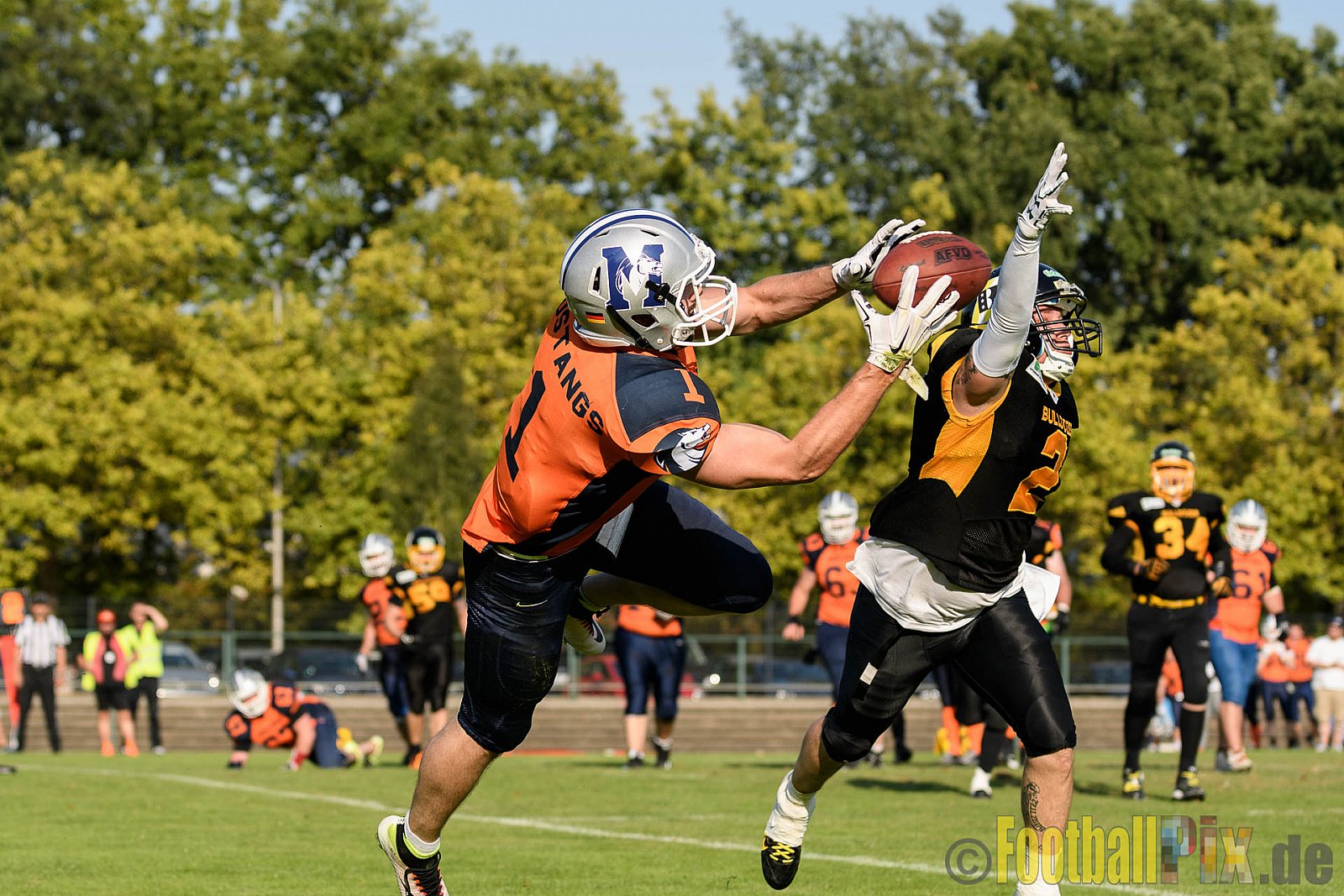 Düsseldorf Bulldozer vs. Sauerland Mustangs - 10.09.2016 LL Nord NRW: Düsseldorf Bulldozer vs. Sauerland Mustangs (14:27)