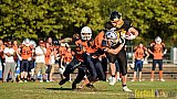 Düsseldorf Bulldozer vs. Sauerland Mustangs - 10.09.2016 LL Nord NRW: Düsseldorf Bulldozer vs. Sauerland Mustangs (14:27)