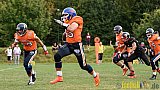 Kerpen Bears vs. D&uuml;sseldorf Panther Prospects - 11.09.2016 VL NRW: Kerpen Bears vs. D&uuml;sseldorf Panther Prospects (14:07)