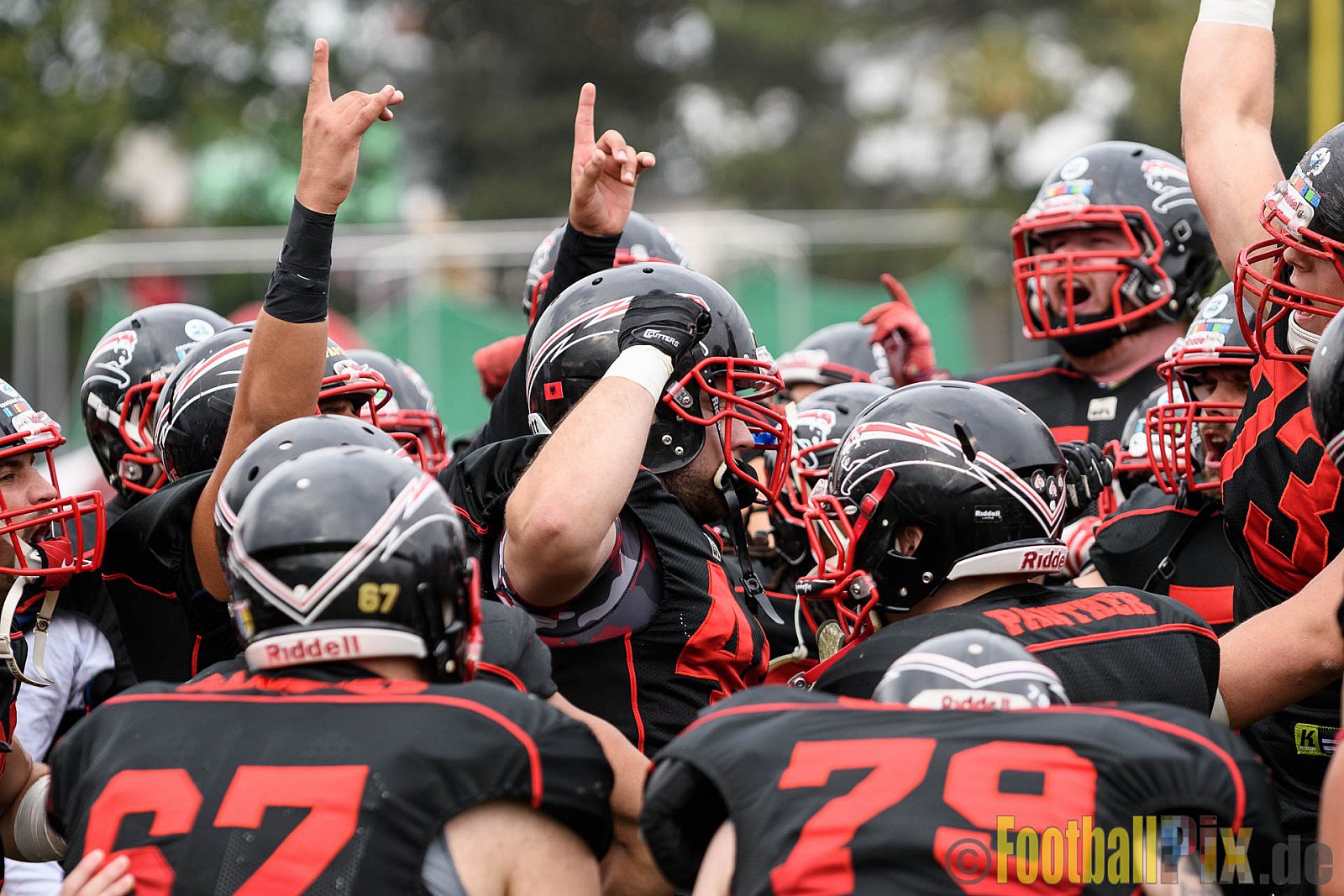 Düsseldorf Panther vs. Cologne Crocodiles - 17.09.2016 GFL Nord: Düsseldorf Panther vs. Cologne Crocodiles (0:34)