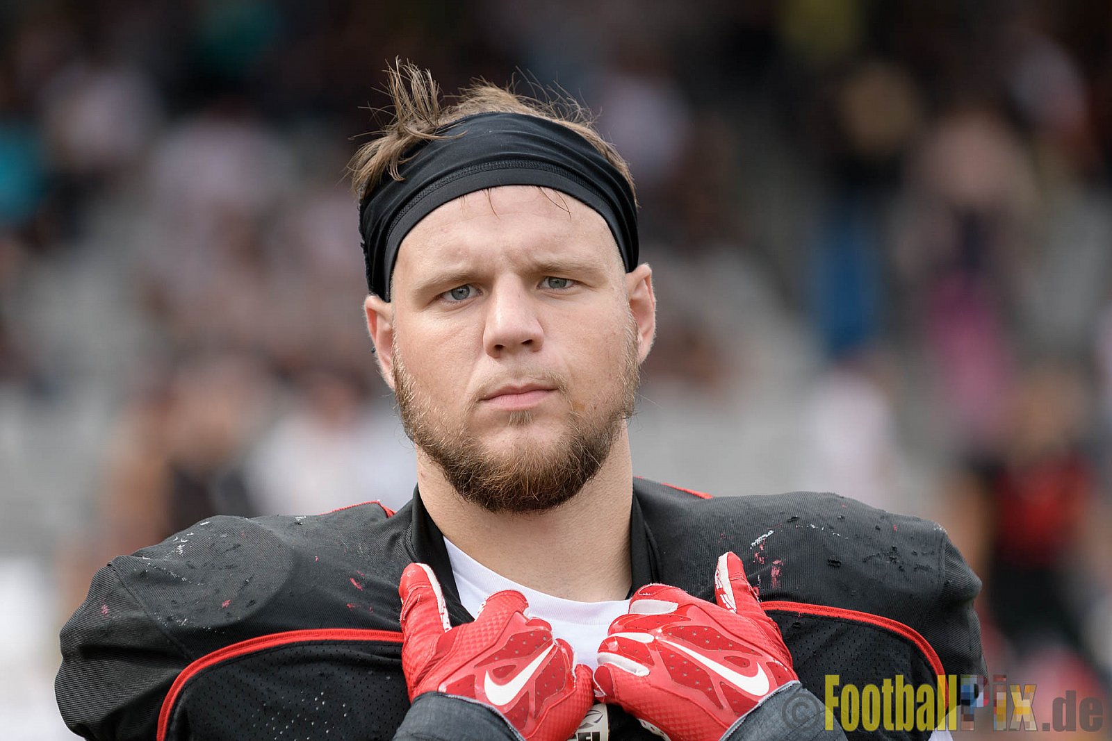 Düsseldorf Panther vs. Cologne Crocodiles - 17.09.2016 GFL Nord: Düsseldorf Panther vs. Cologne Crocodiles (0:34)