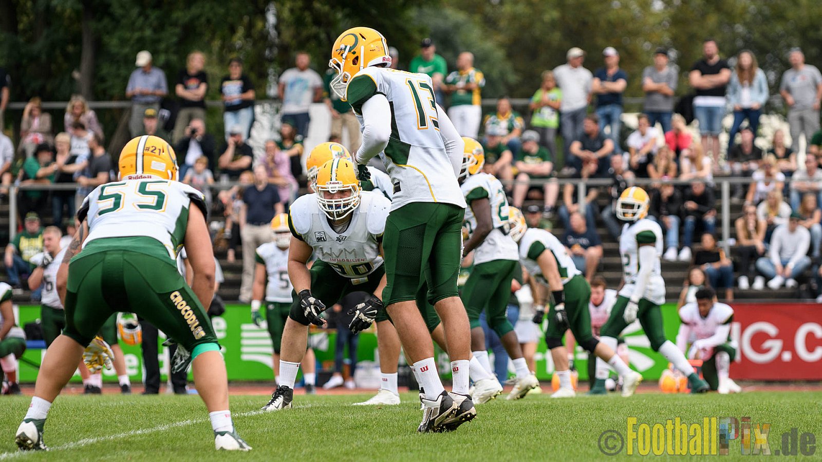Düsseldorf Panther vs. Cologne Crocodiles - 17.09.2016 GFL Nord: Düsseldorf Panther vs. Cologne Crocodiles (0:34)