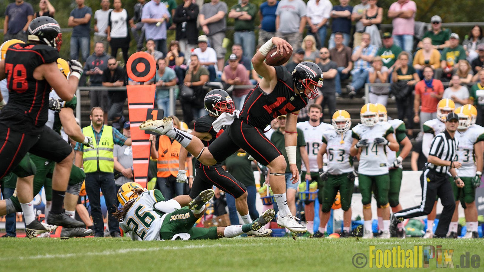 Düsseldorf Panther vs. Cologne Crocodiles - 17.09.2016 GFL Nord: Düsseldorf Panther vs. Cologne Crocodiles (0:34)