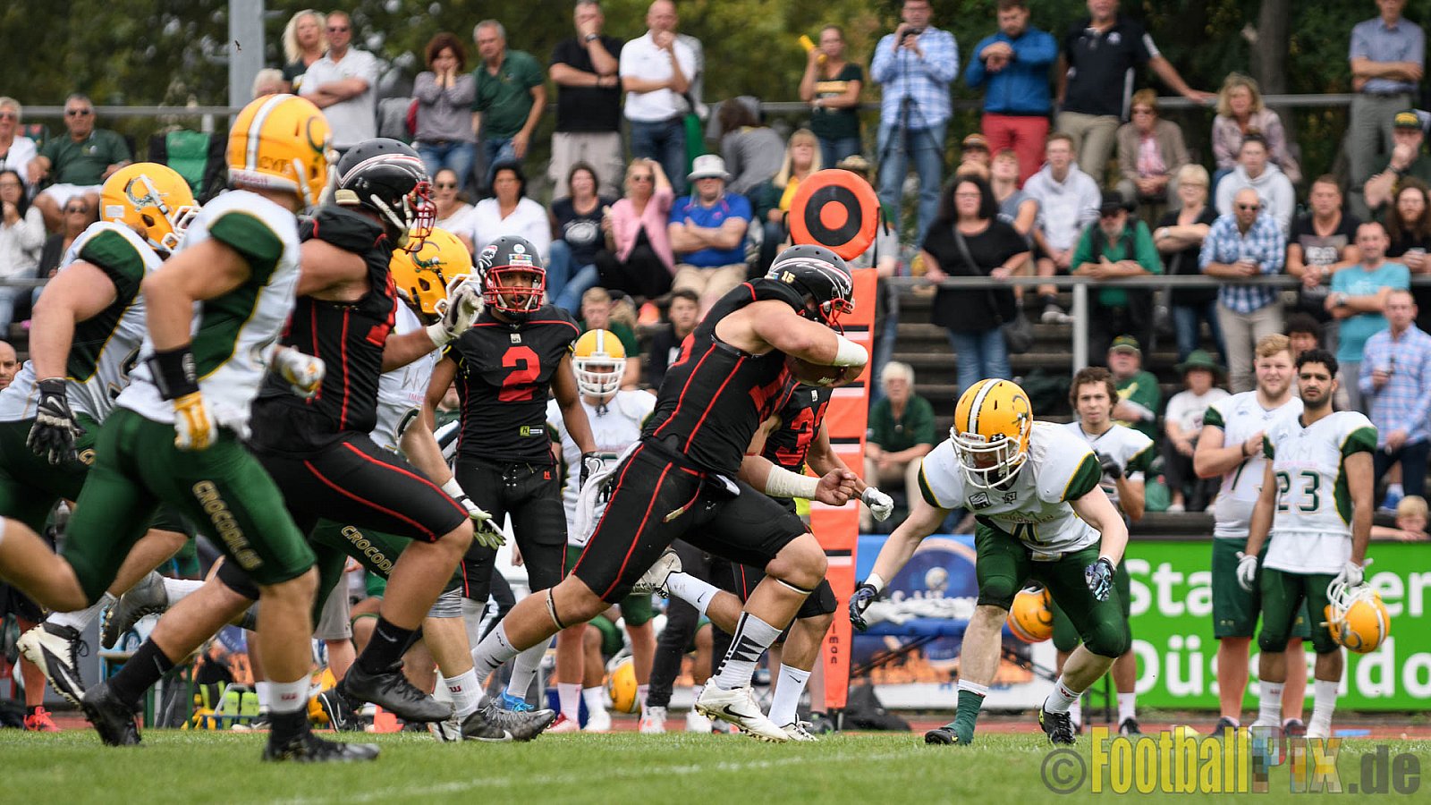 Düsseldorf Panther vs. Cologne Crocodiles - 17.09.2016 GFL Nord: Düsseldorf Panther vs. Cologne Crocodiles (0:34)