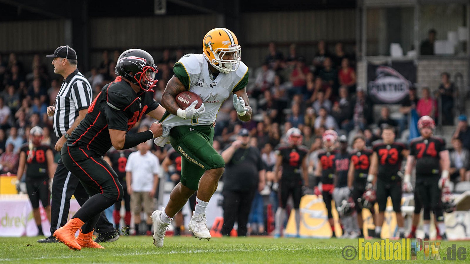 Düsseldorf Panther vs. Cologne Crocodiles - 17.09.2016 GFL Nord: Düsseldorf Panther vs. Cologne Crocodiles (0:34)