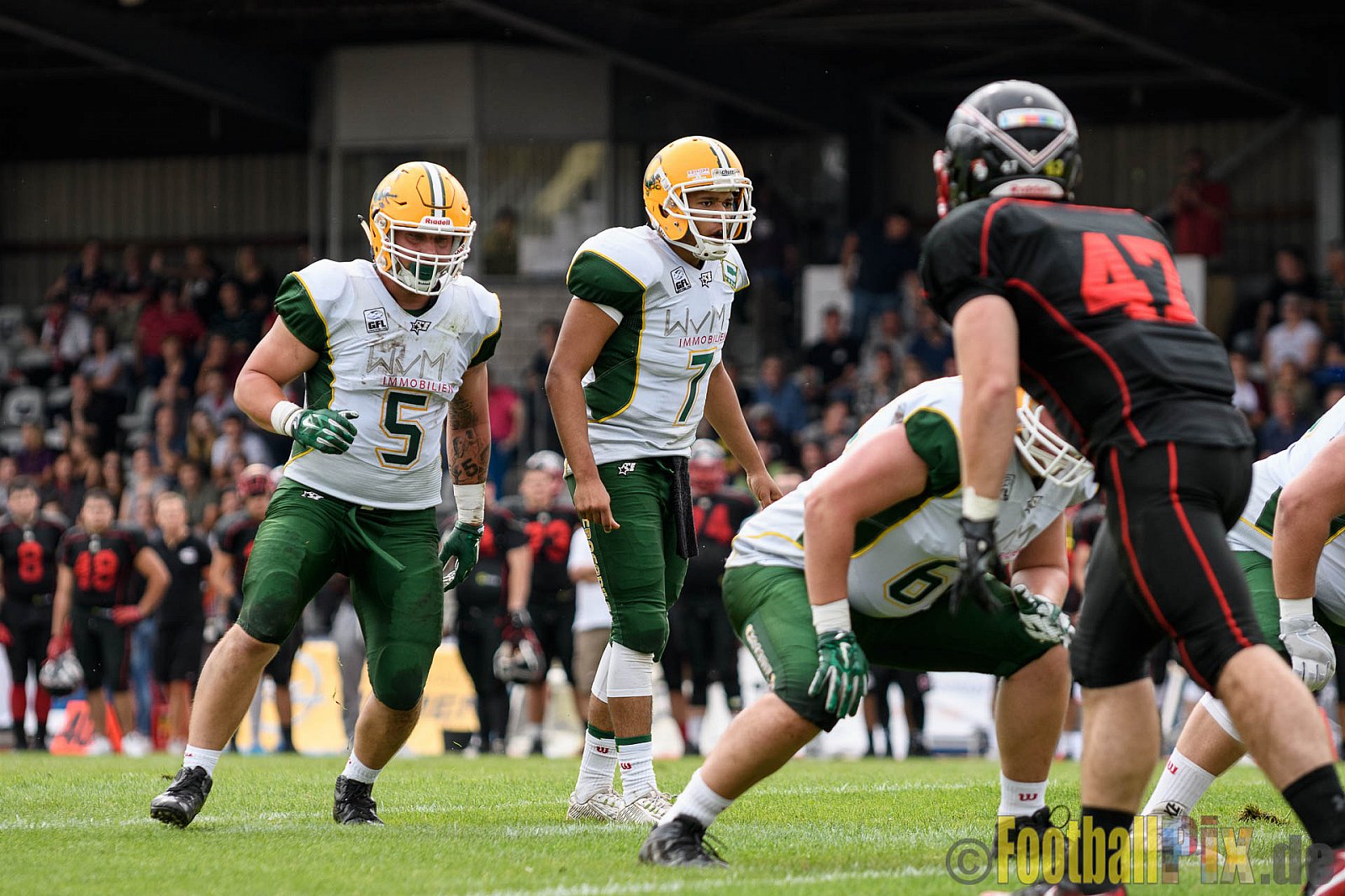 Düsseldorf Panther vs. Cologne Crocodiles - 17.09.2016 GFL Nord: Düsseldorf Panther vs. Cologne Crocodiles (0:34)