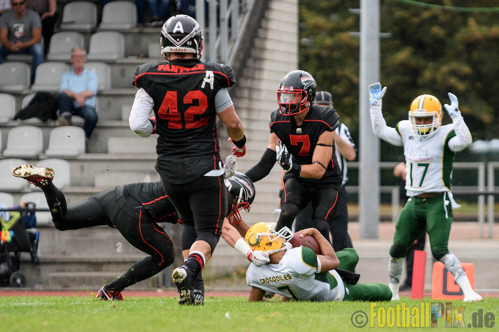 Düsseldorf Panther vs. Cologne Crocodiles - 17.09.2016 GFL Nord: Düsseldorf Panther vs. Cologne Crocodiles (0:34)
