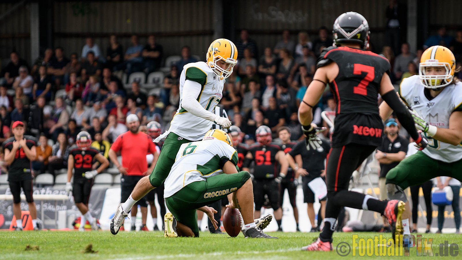 Düsseldorf Panther vs. Cologne Crocodiles - 17.09.2016 GFL Nord: Düsseldorf Panther vs. Cologne Crocodiles (0:34)