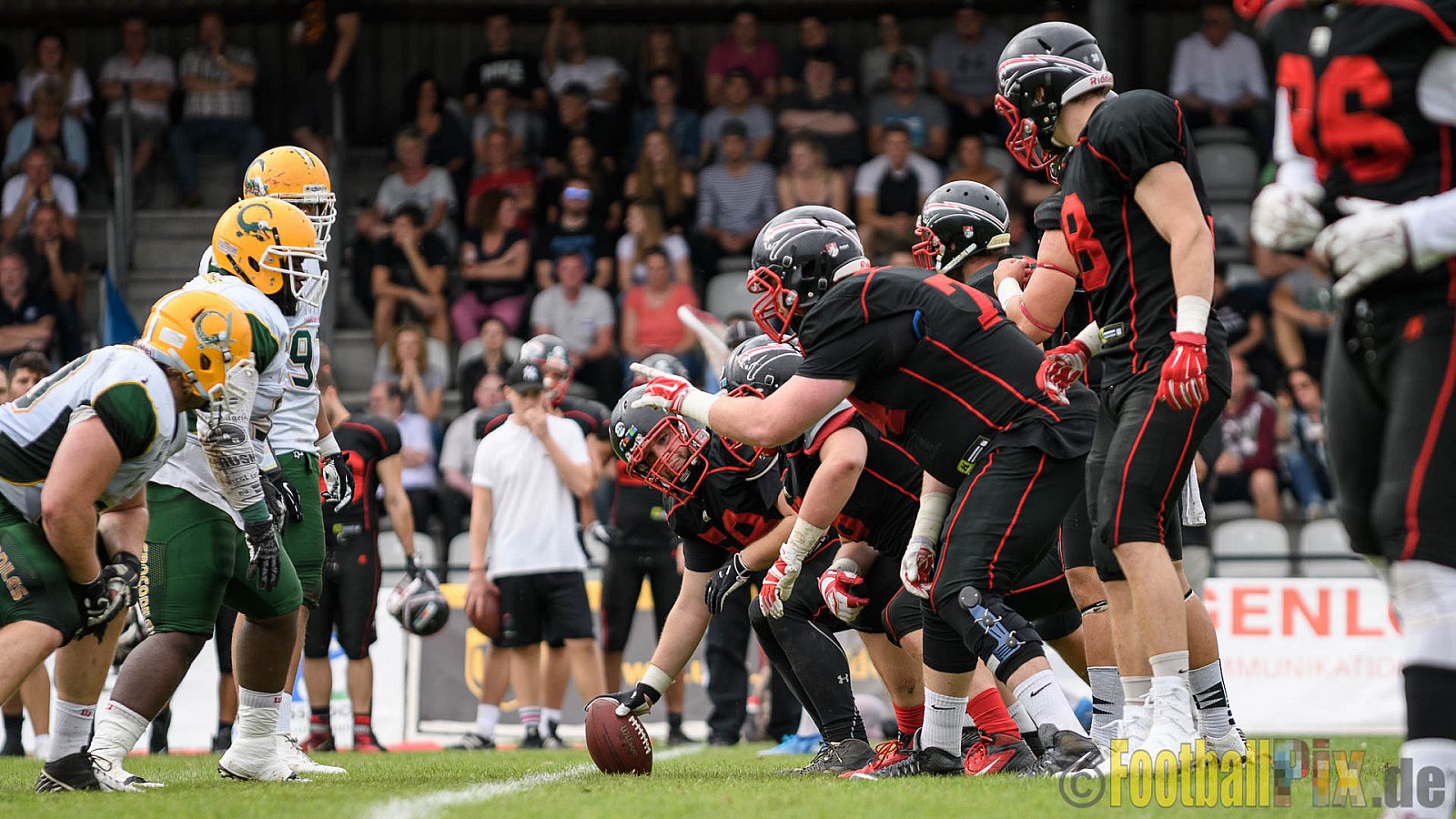 Düsseldorf Panther vs. Cologne Crocodiles - 17.09.2016 GFL Nord: Düsseldorf Panther vs. Cologne Crocodiles (0:34)