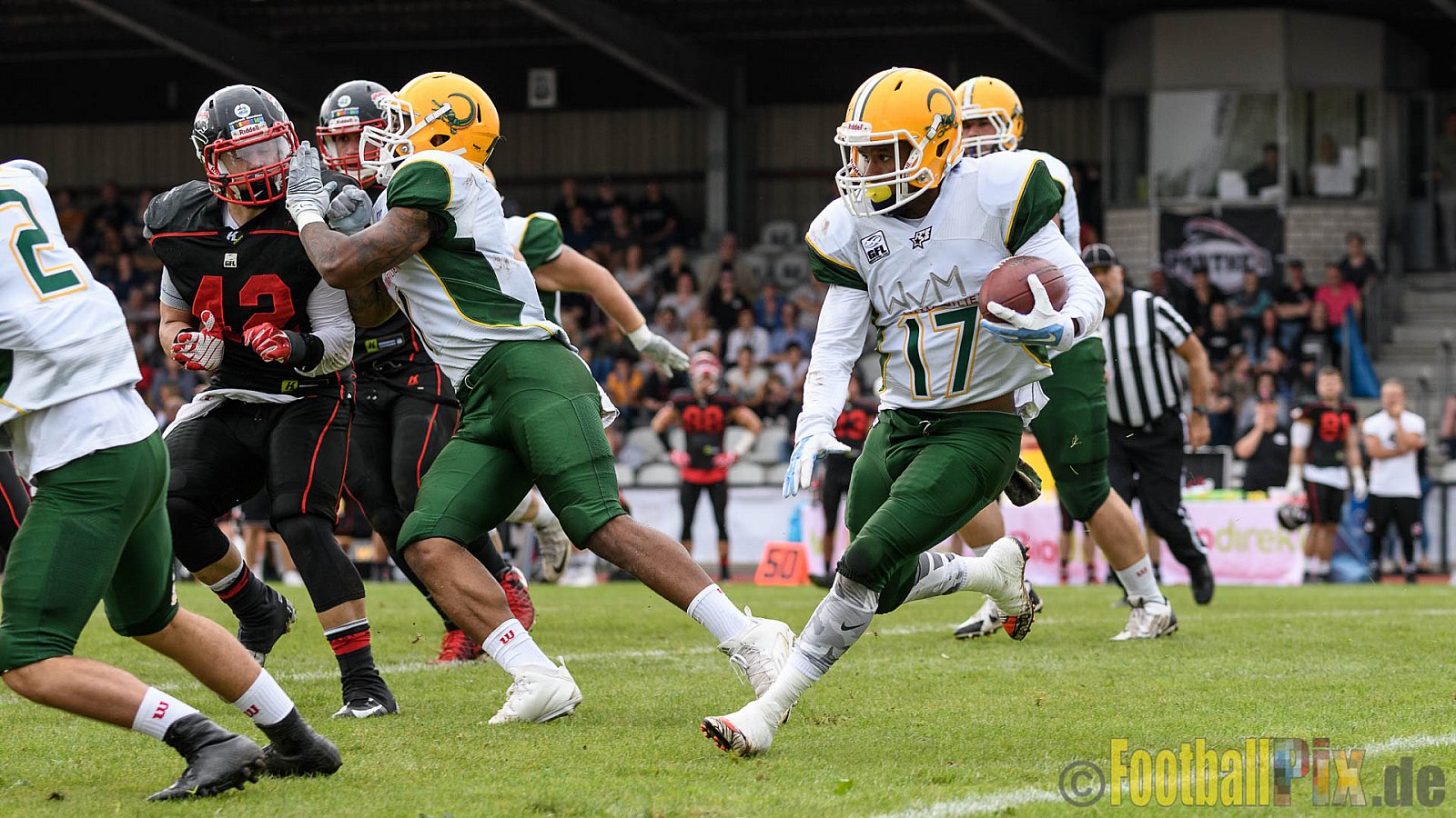 Düsseldorf Panther vs. Cologne Crocodiles - 17.09.2016 GFL Nord: Düsseldorf Panther vs. Cologne Crocodiles (0:34)