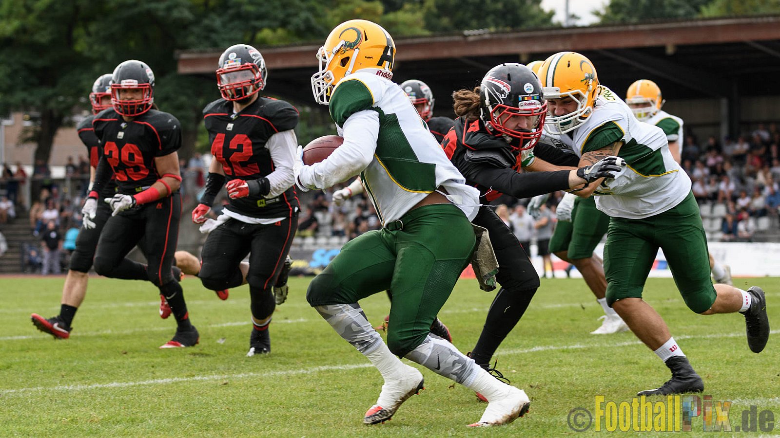 Düsseldorf Panther vs. Cologne Crocodiles - 17.09.2016 GFL Nord: Düsseldorf Panther vs. Cologne Crocodiles (0:34)