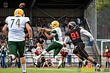 Düsseldorf Panther vs. Cologne Crocodiles - 17.09.2016 GFL Nord: Düsseldorf Panther vs. Cologne Crocodiles (0:34)