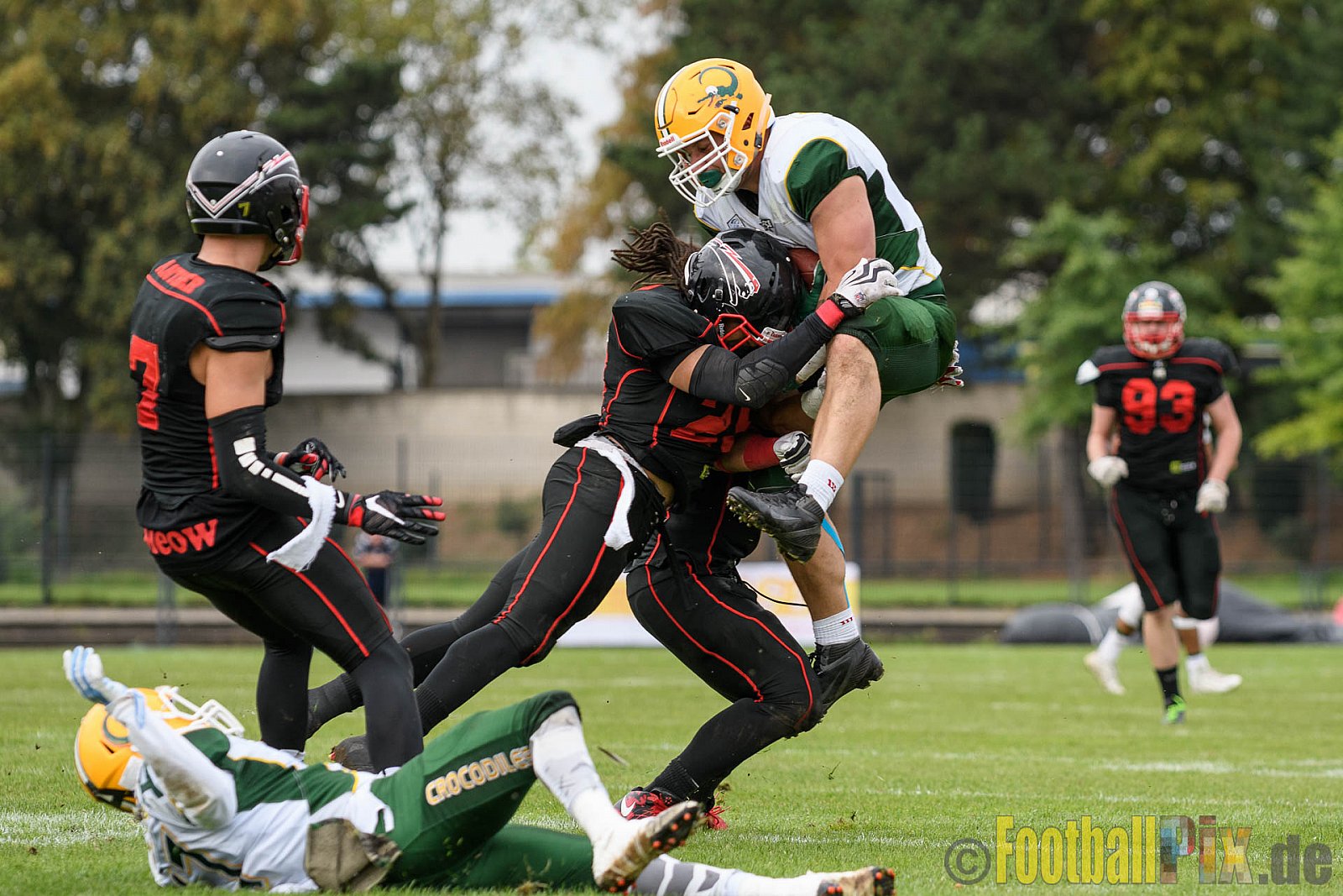 Düsseldorf Panther vs. Cologne Crocodiles - 17.09.2016 GFL Nord: Düsseldorf Panther vs. Cologne Crocodiles (0:34)