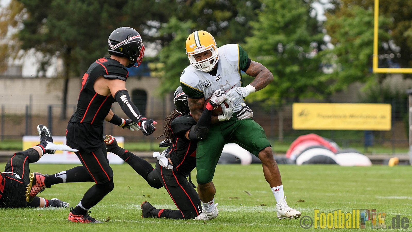 Düsseldorf Panther vs. Cologne Crocodiles - 17.09.2016 GFL Nord: Düsseldorf Panther vs. Cologne Crocodiles (0:34)
